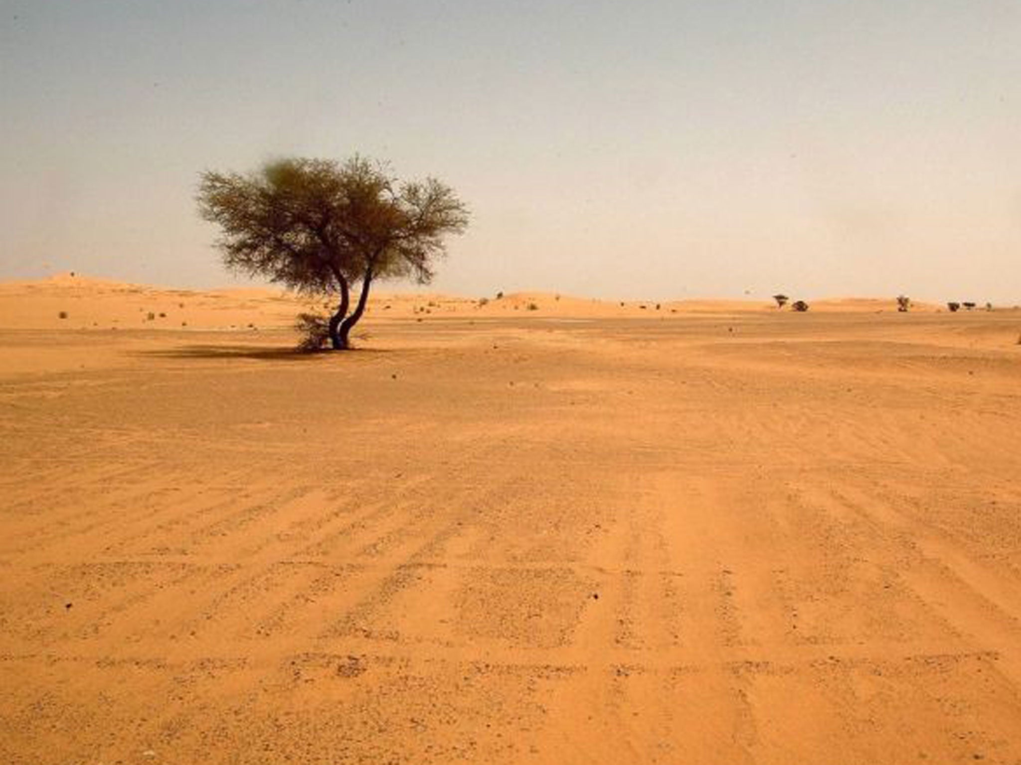 The Sahara Desert covers 10 per cent of the African continent