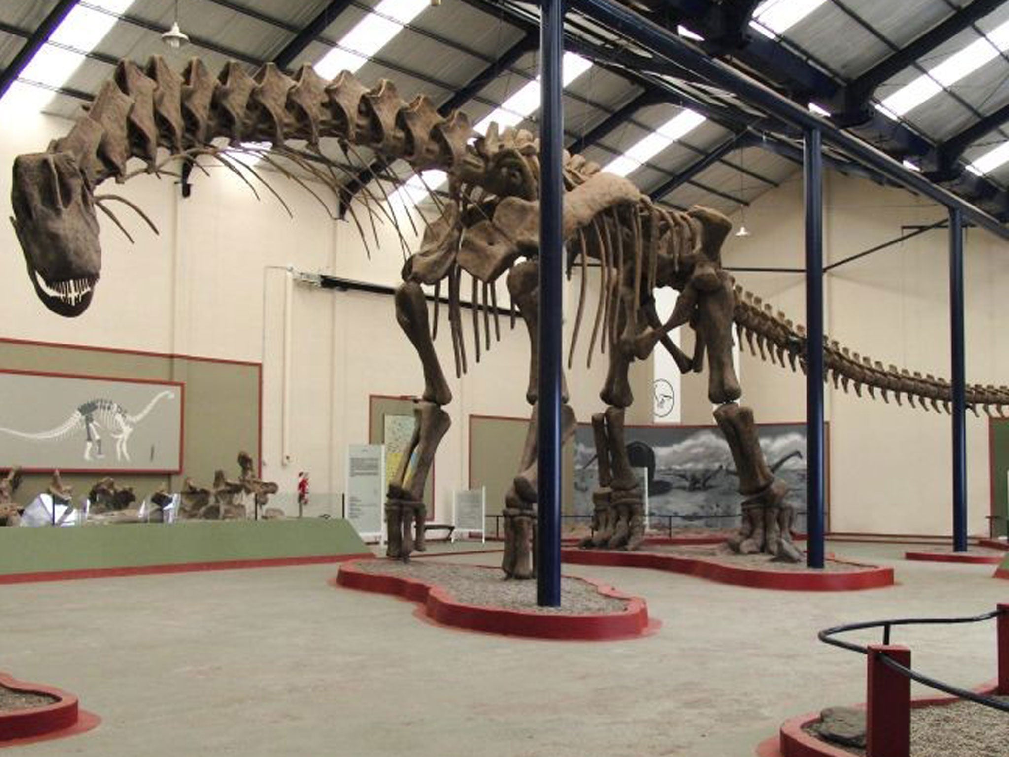 A reconstructed skeleton of the giant dinosaur Argentinosaurus at the Carmen Funes museum in Plaza Huincul, Argentina used to make a digital model