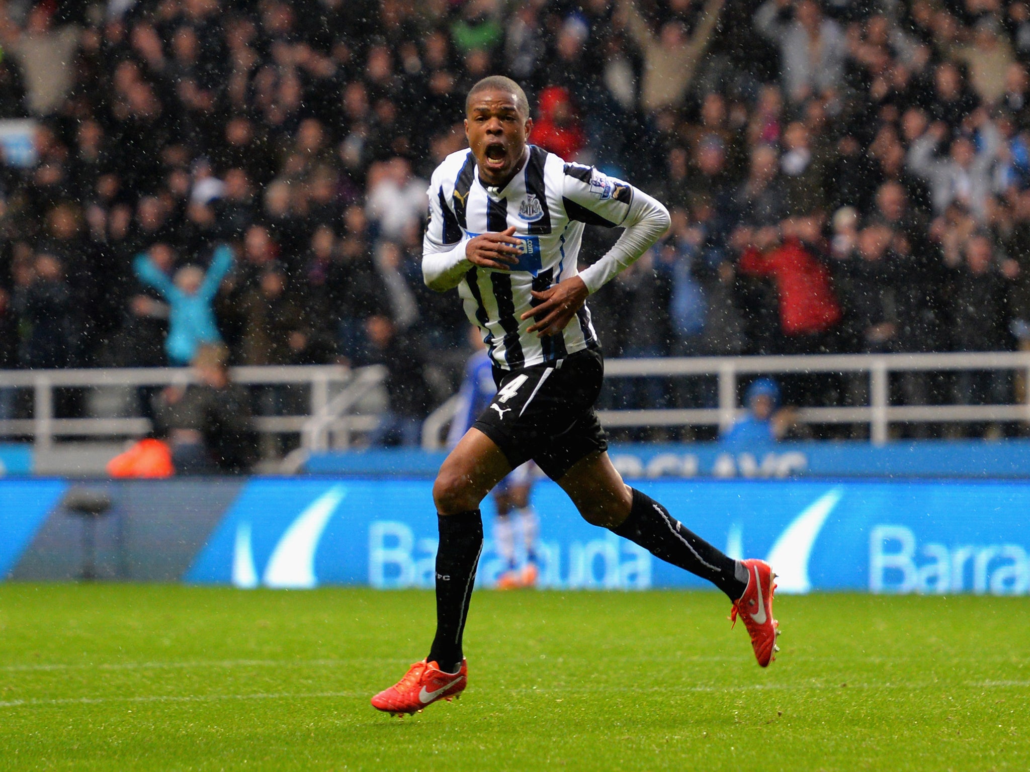 Loic Remy has been a hit at Newcastle