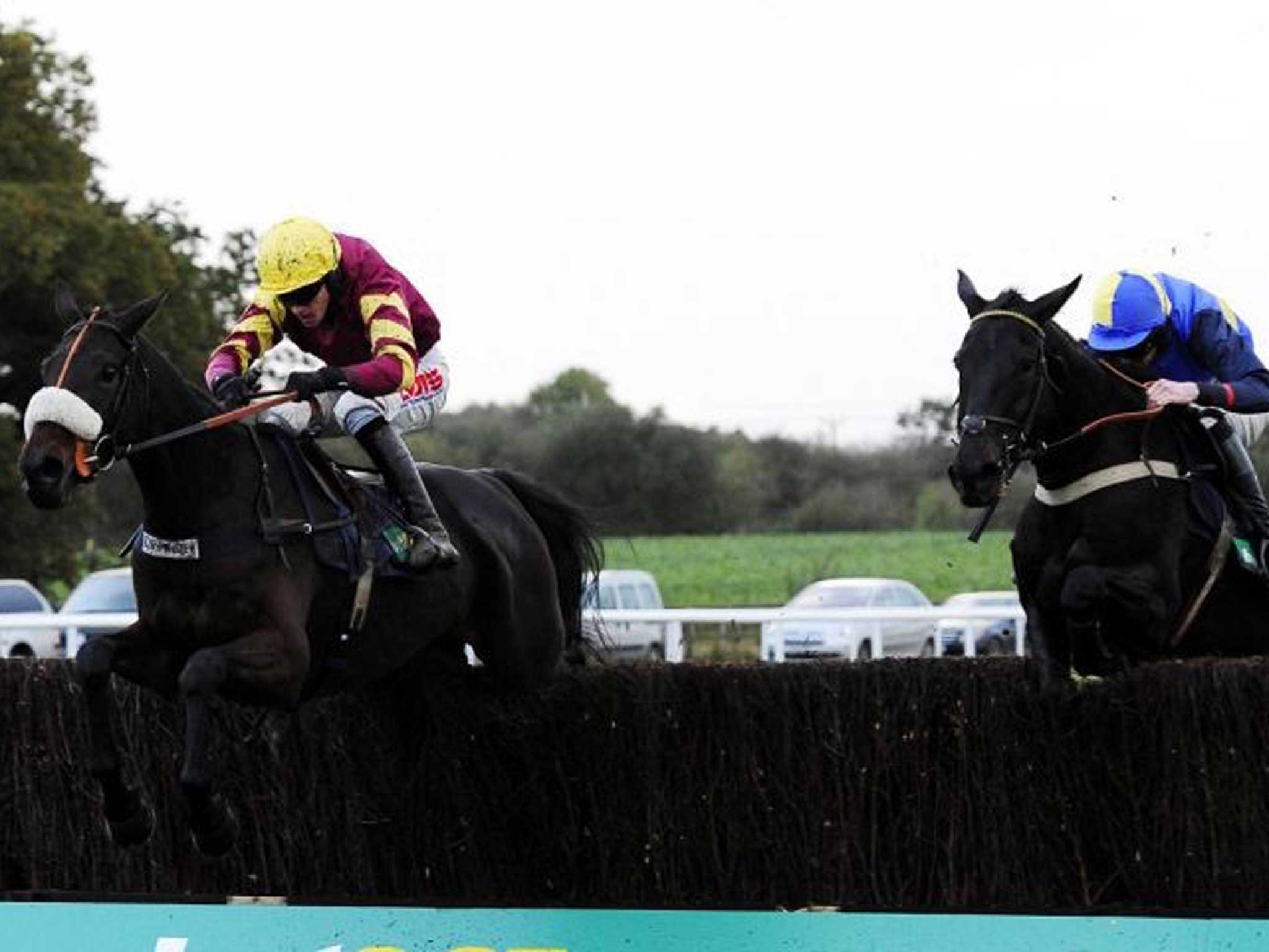 Topper effort: Jason Maguire guides Harry Topper (left) over the last in the Charlie Hall Chase at Wetherby as runner-up Wayward Prince tries to get on terms