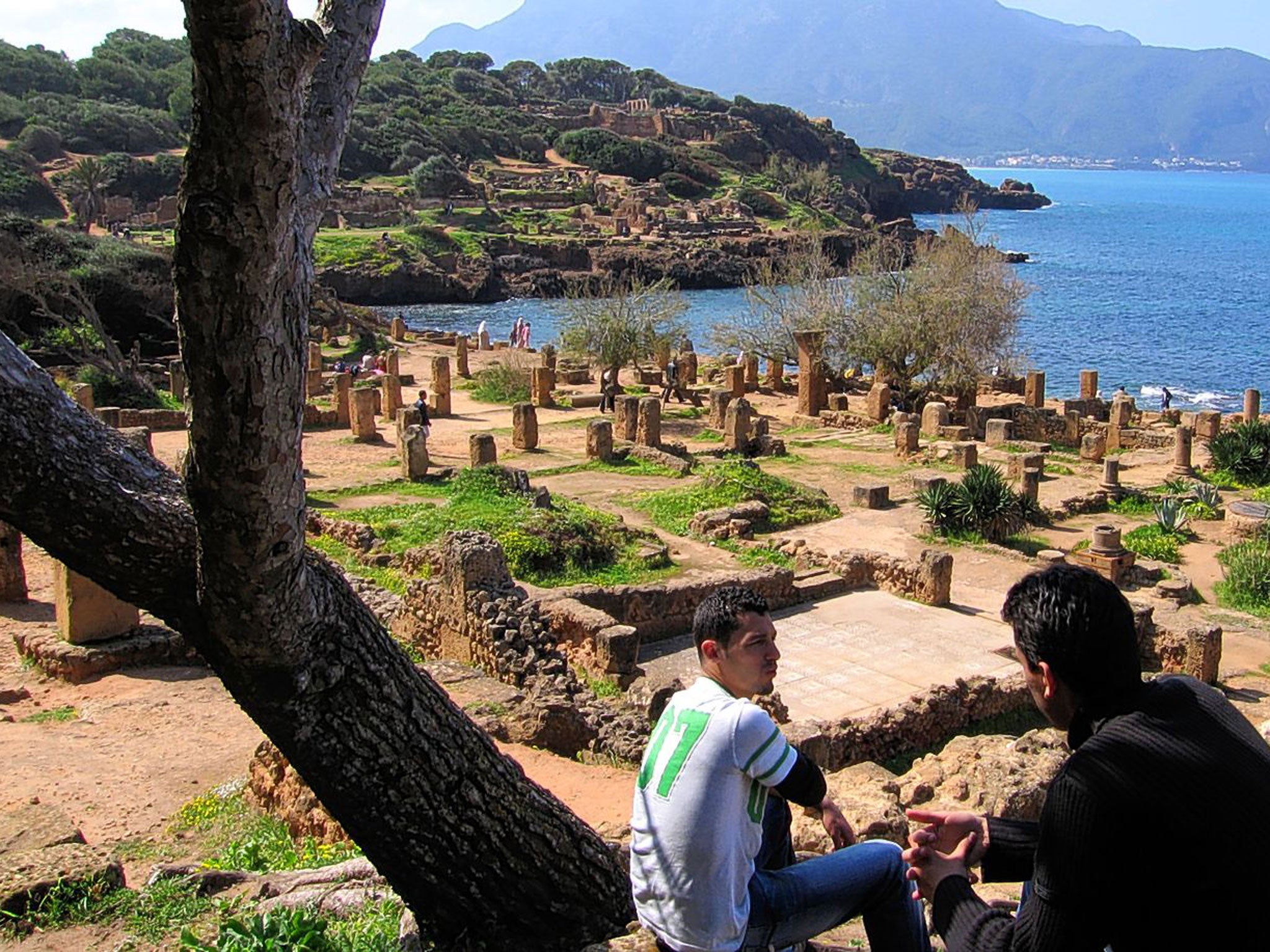 Albert's Algeria: Roman ruins at Tipasa