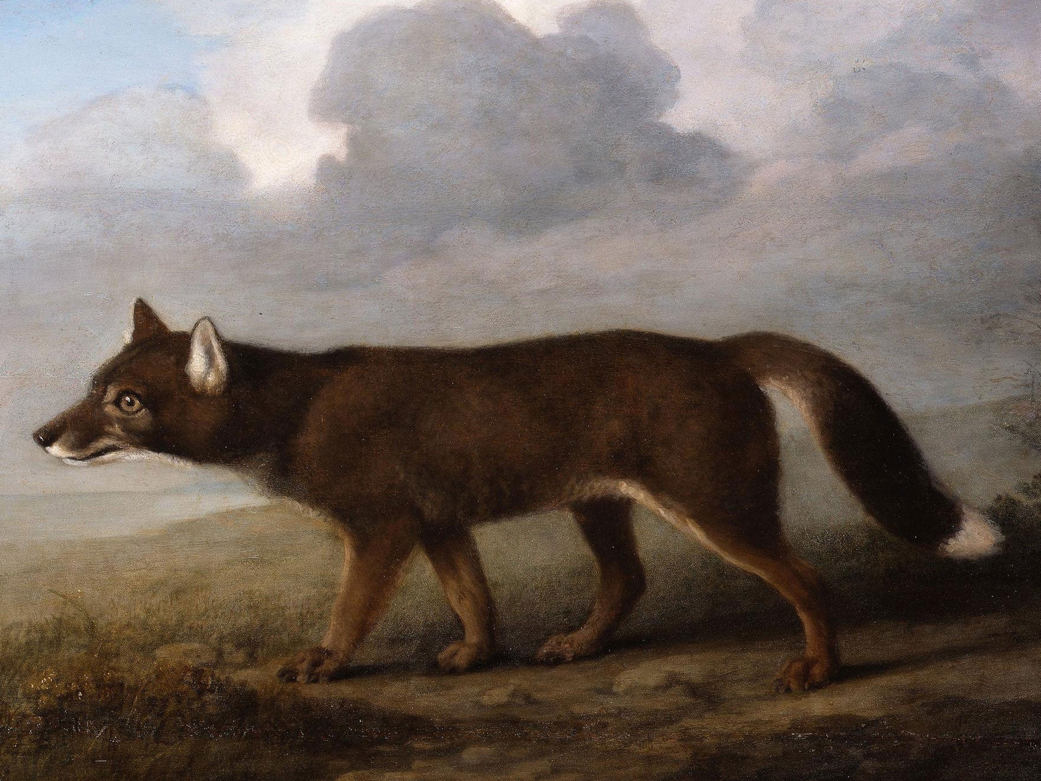 George Stubbs's painting of a dingo, called "Portrait Of A Large Dog" will stay in the country after enough money was raised to keep it