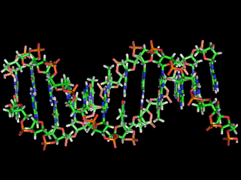 'DNA is an excellent building block for constructing synthetic molecular systems, as we can programme it to do whatever we need,' said Adam Wollman, who led the Oxford University team