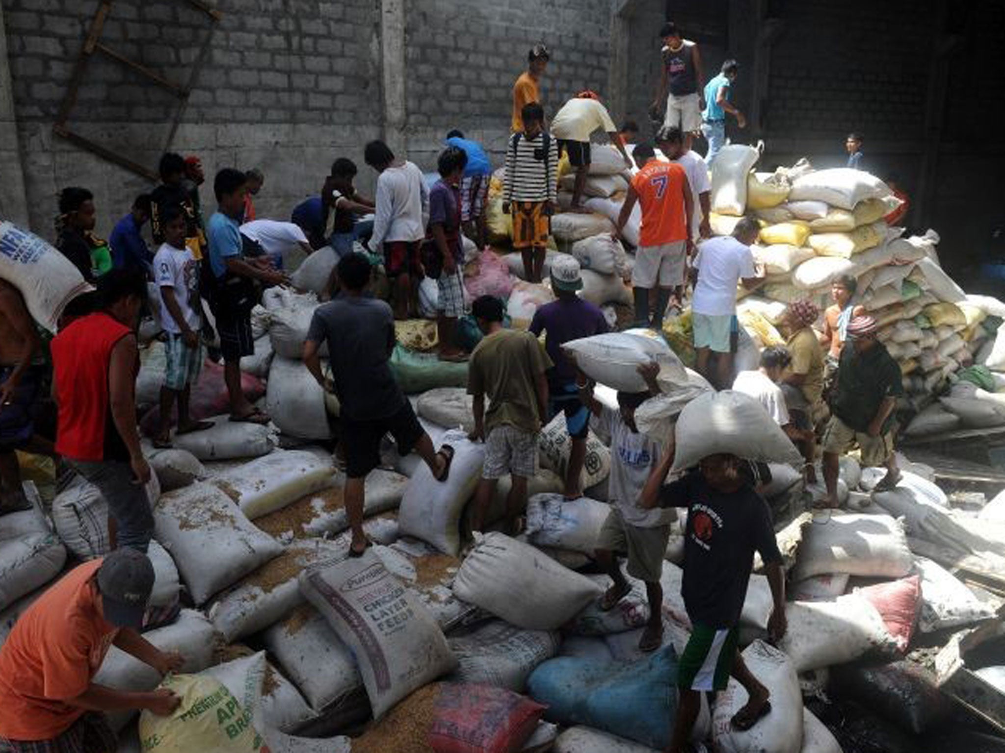 Residents loot water damaged sacks of rice from a rice warehouse in the aftermath of Super Typhoon Haiyan in Tacloban in the eastern Philippine island of Leyte on November 11, 2013.