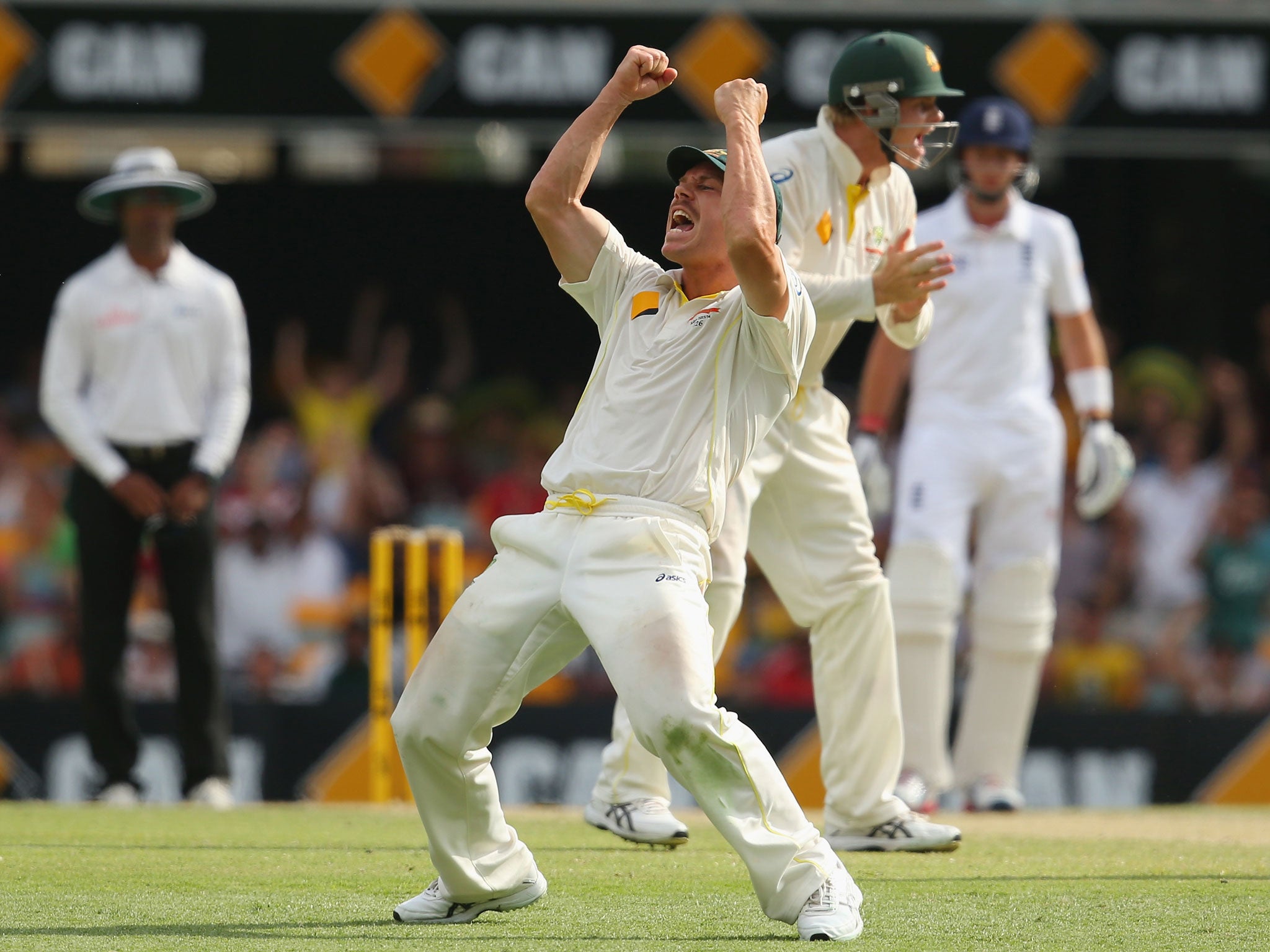 David Warner celebrates the wicket of Matt Prior