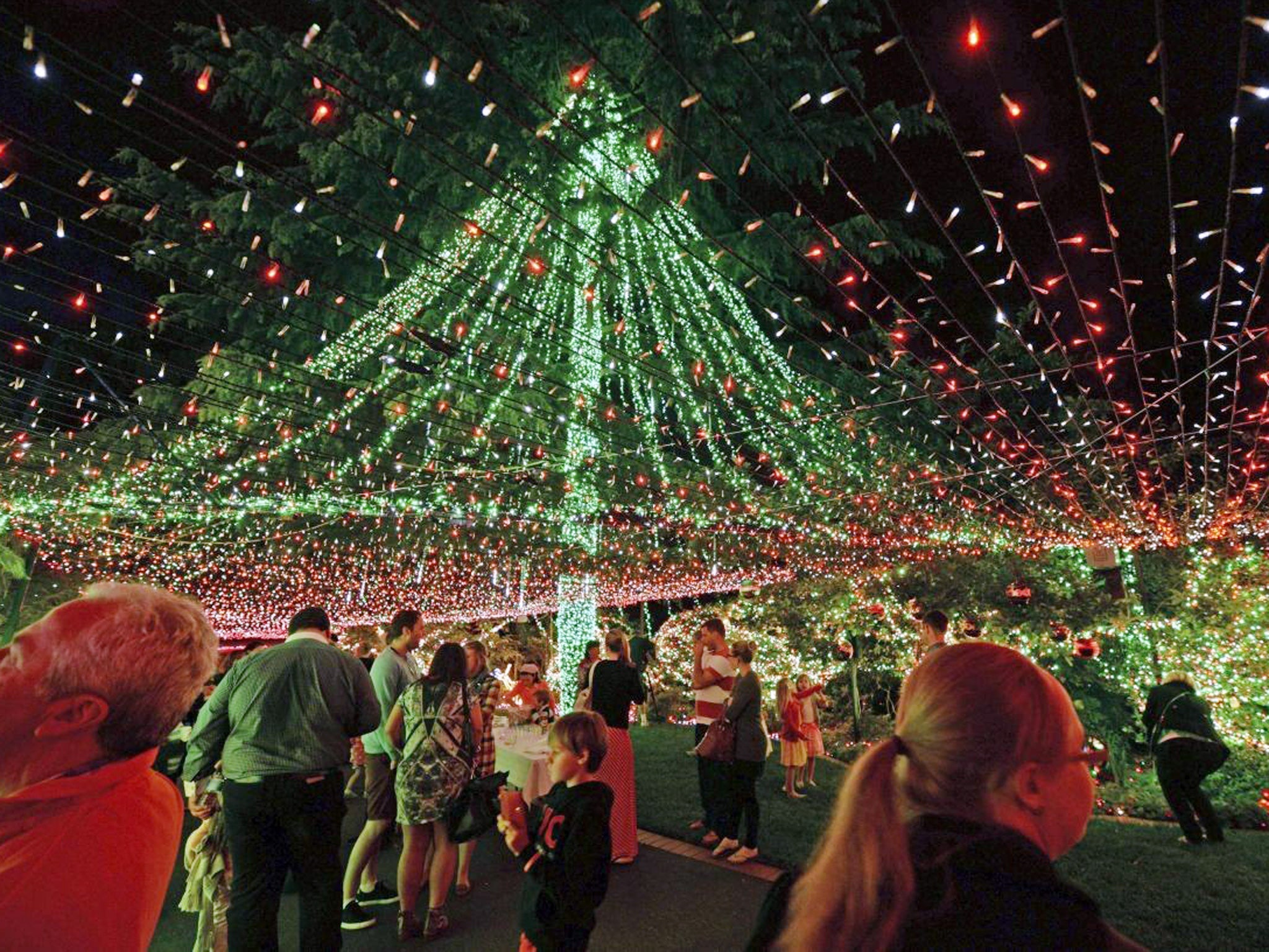 People look at The Richards' home illuminated with 502,165 miniature lights in Canberra