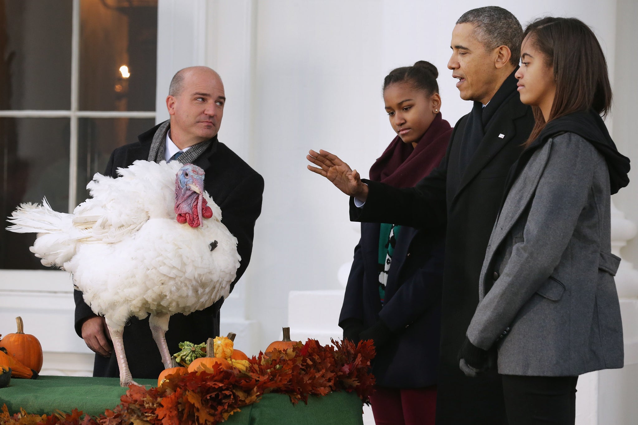 US president Barack Obama pardons turkey 'Popcorn' at the annual Thanksgiving ceremony