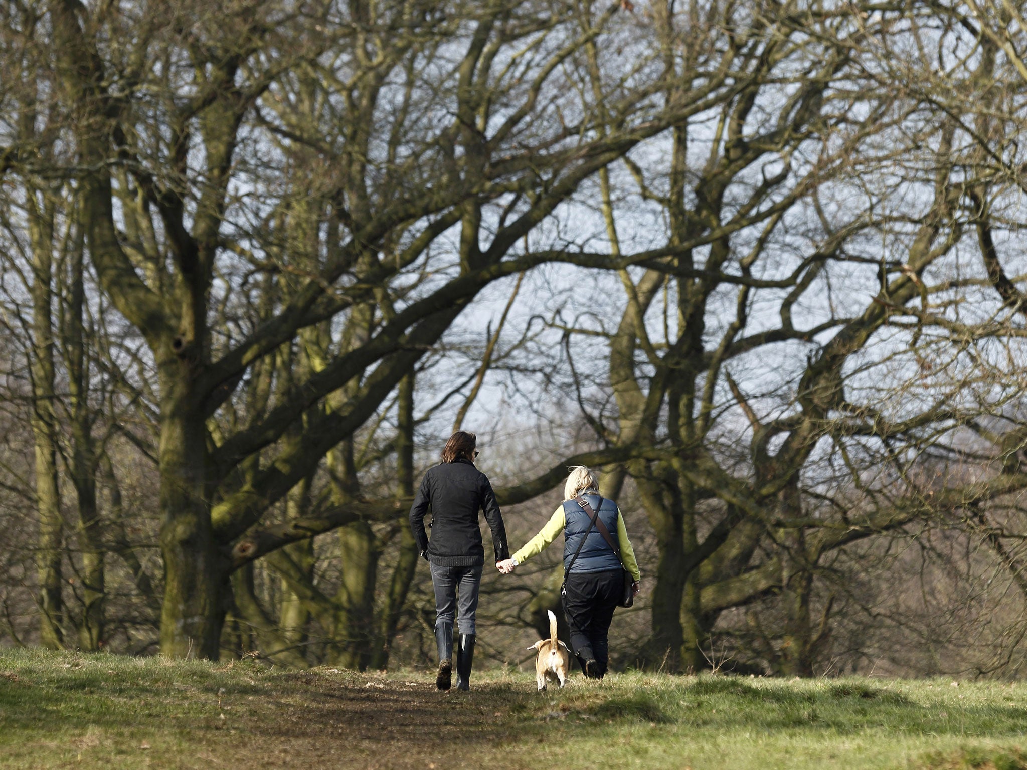 GPs are accused of not passing on official advice about the benefits of physical exercise