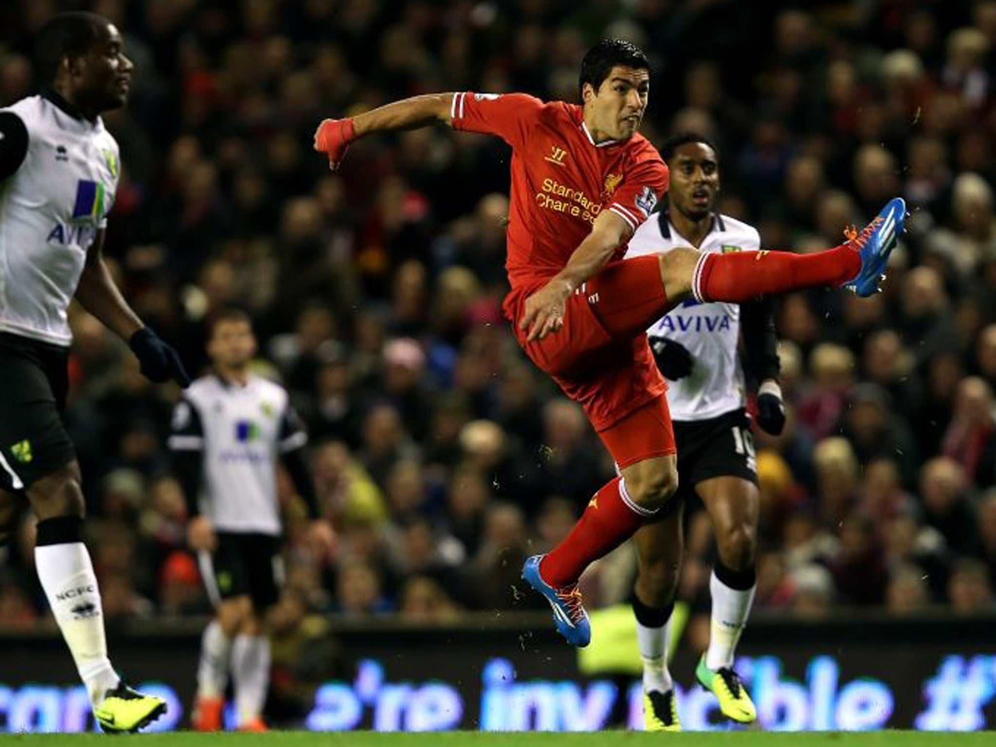 Liverpool's Luis Suarez