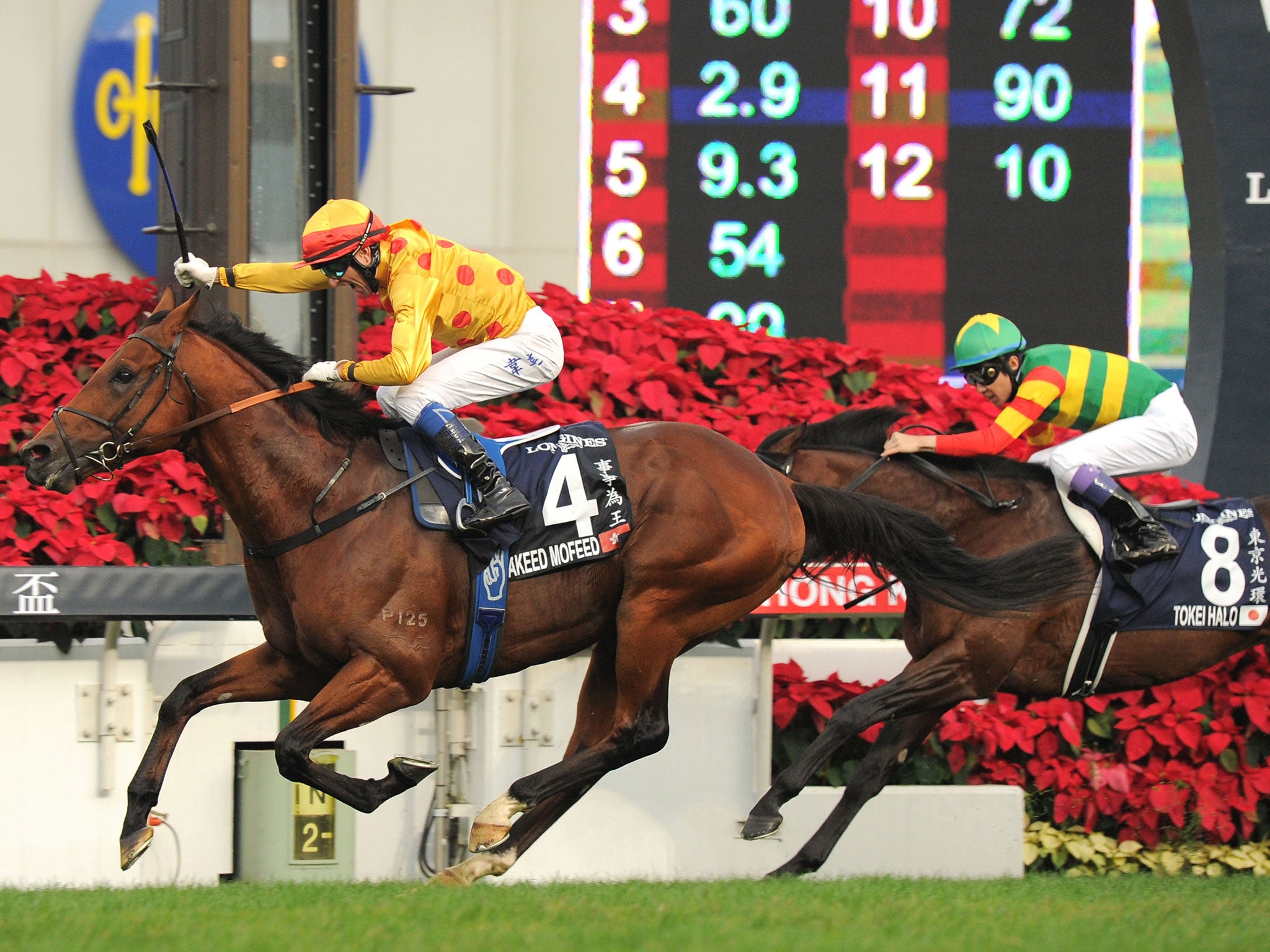 Akeed Mofeed, ridden by Douglas Whyte, wins the Hong Kong Cup at Sha Tin