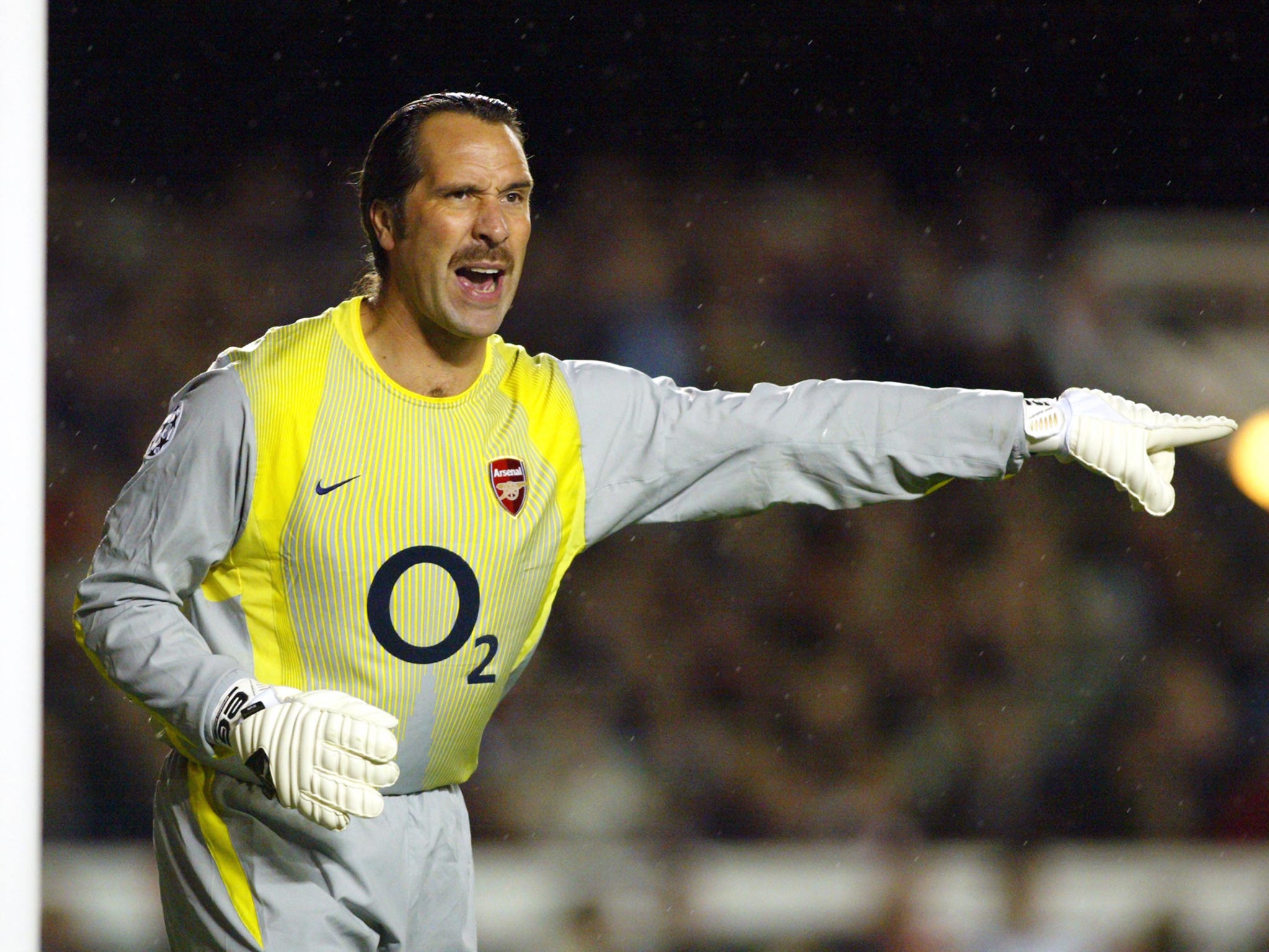 David Seaman