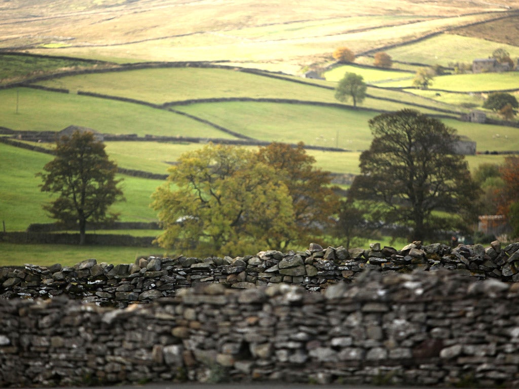 The brain does less processing when looking at rural landscapes