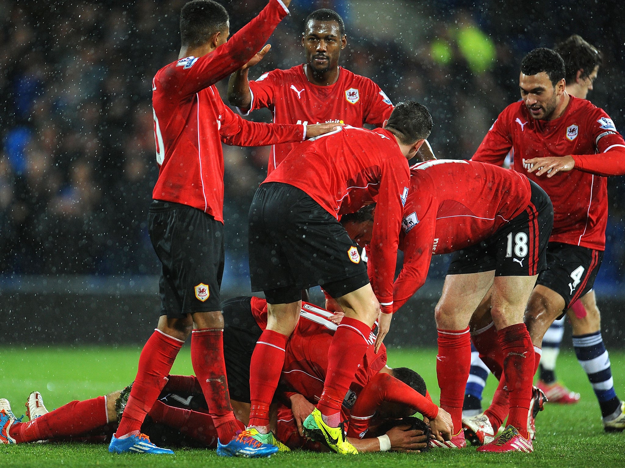 Cardiff celebrate after Peter Whittingham's goal gives them victory against West Brom