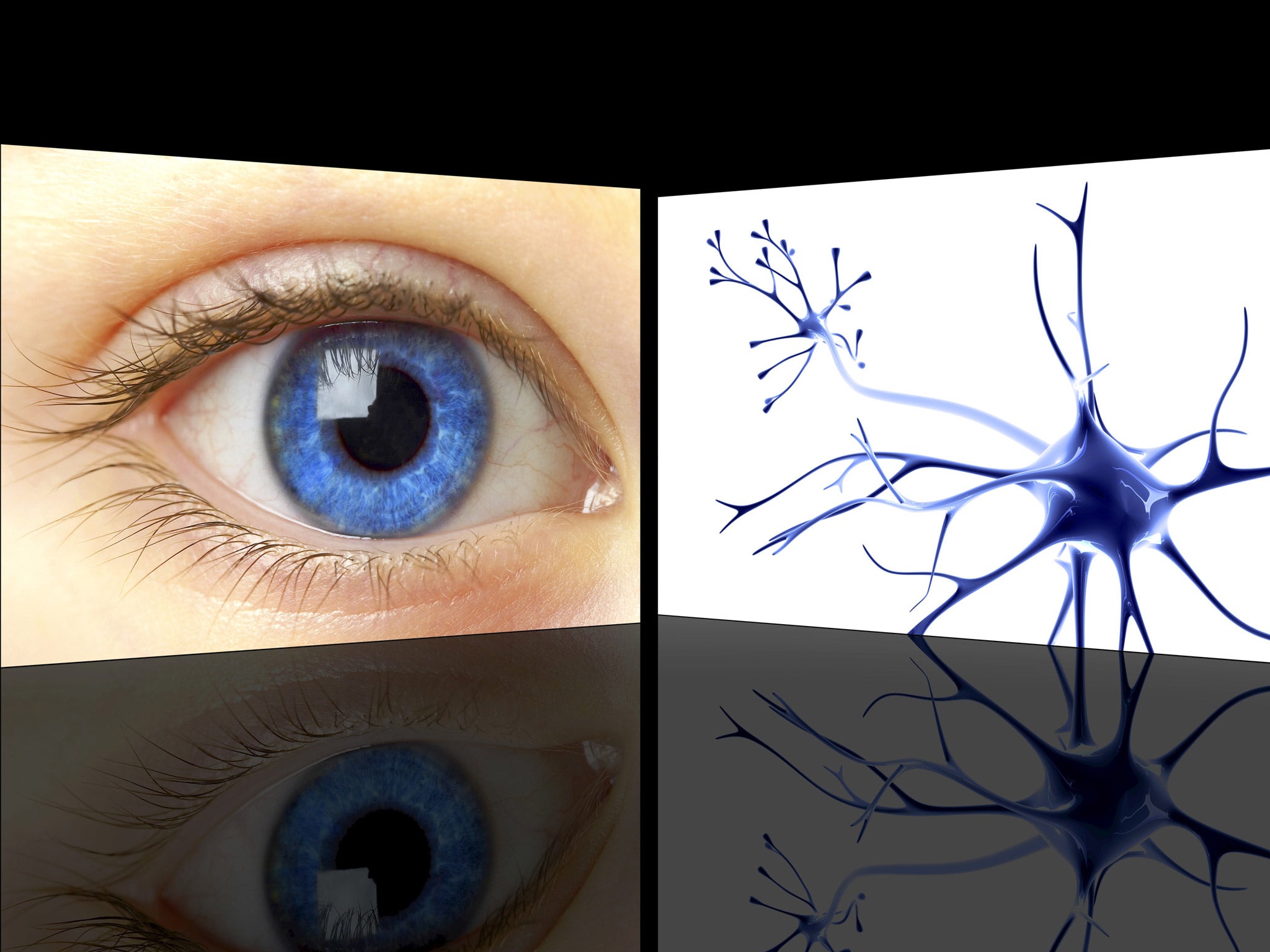 The human eye and a nerve cell