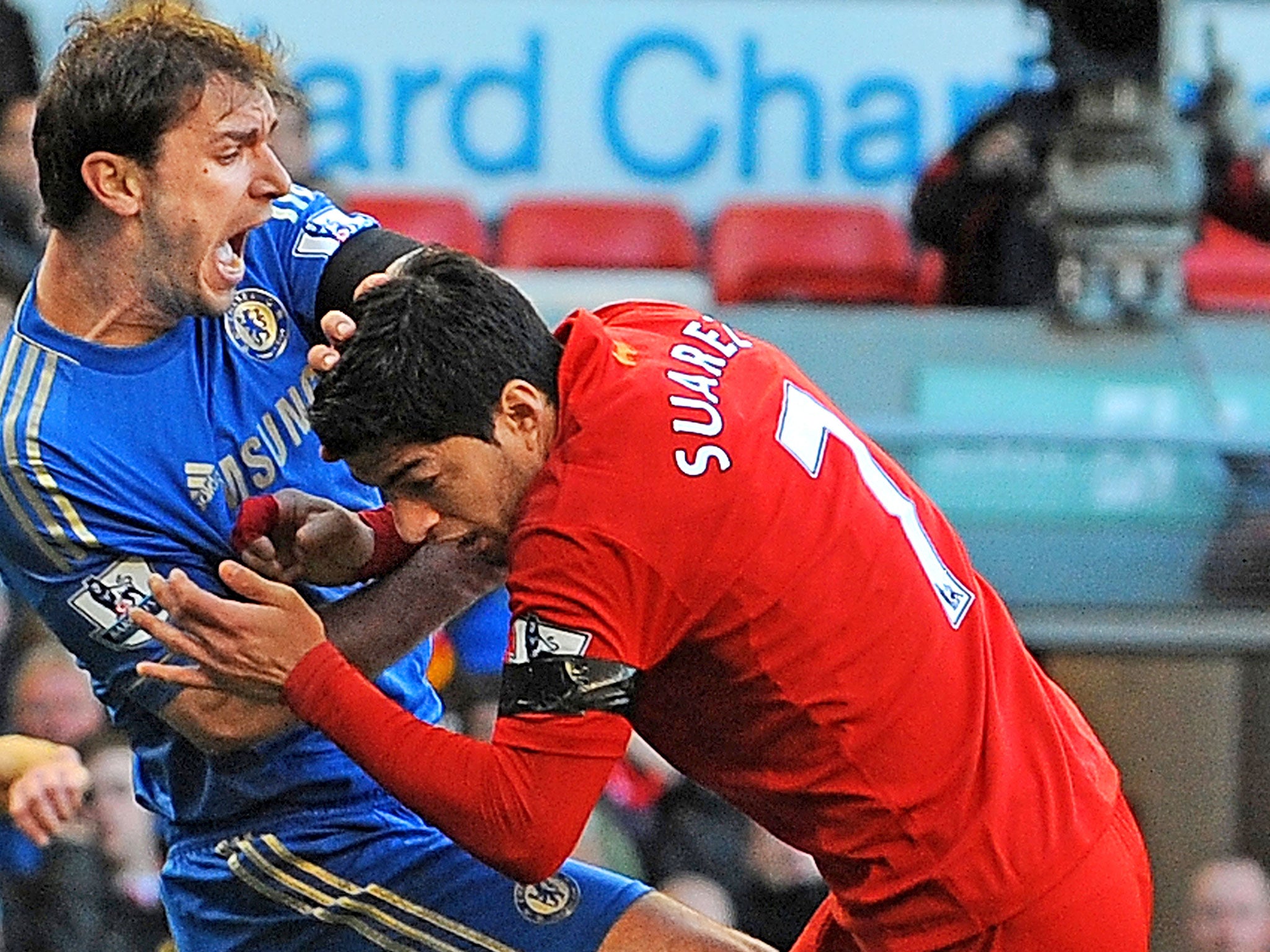 Branislav Ivanovic (left) screams after being bitten by Luis Suarez