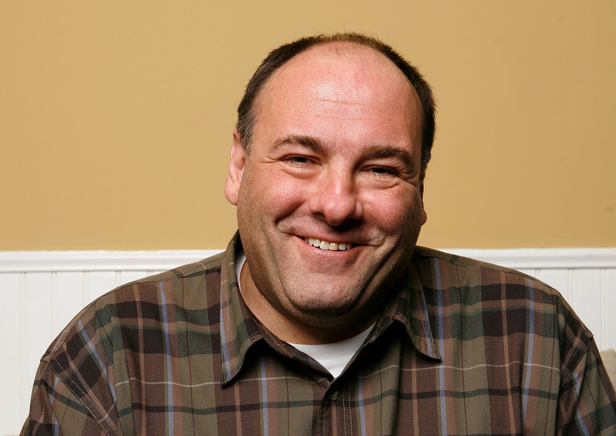 Sopranos actor James Gandolfini died in June