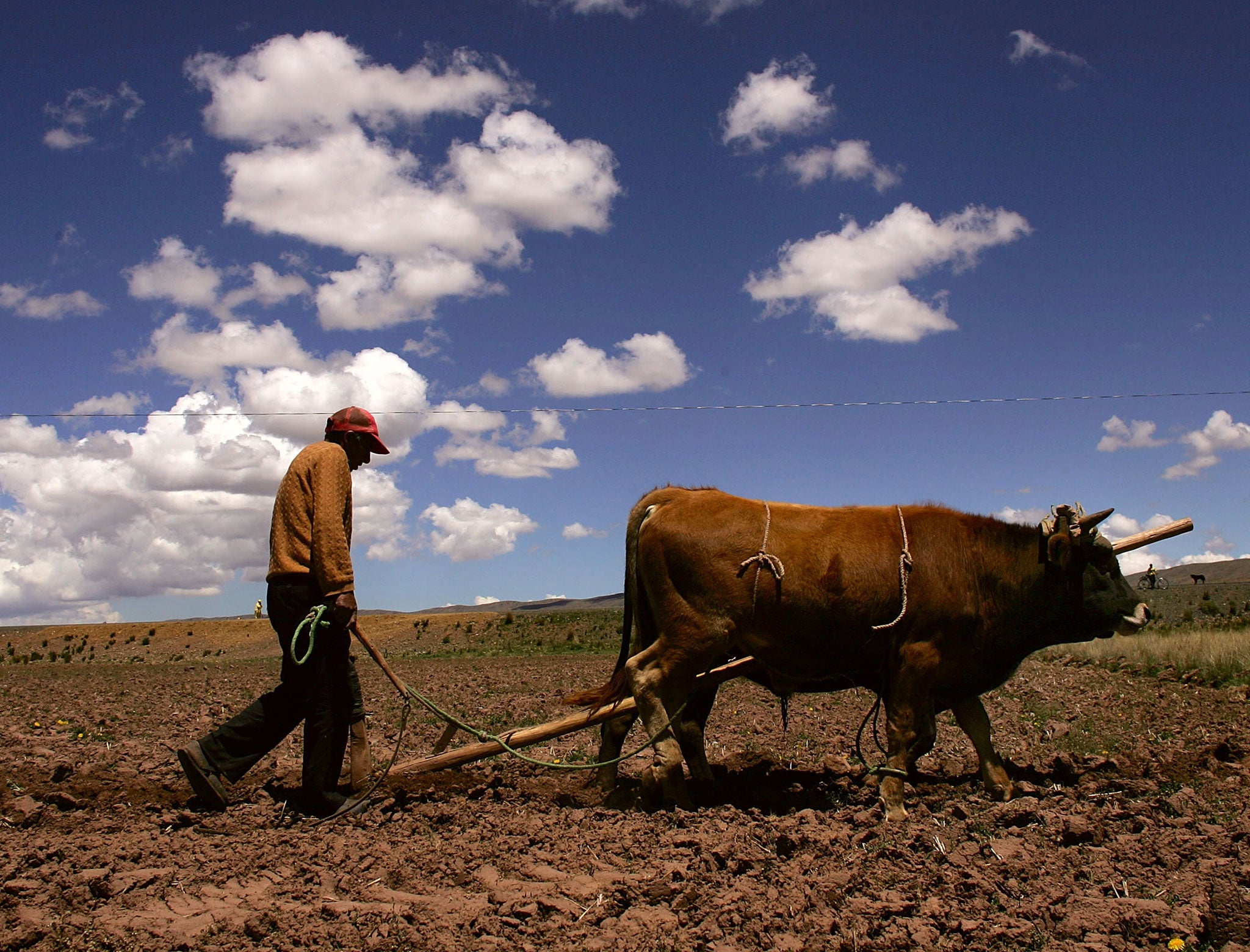 Land is prepared for planting in Curva, Bolivia