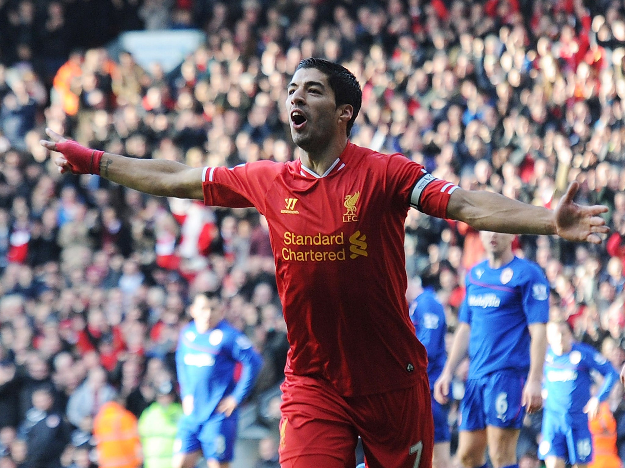 Luis Suarez celebrates after scoring for Liverpool against Cardiff City