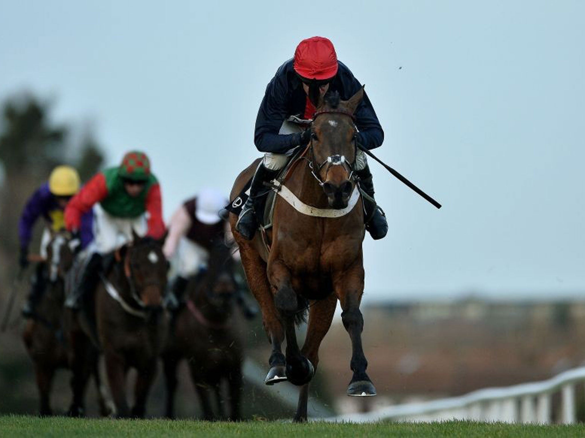 Bobbing along: Bobs Worth and Barry Geraghty take the Lexus with ease