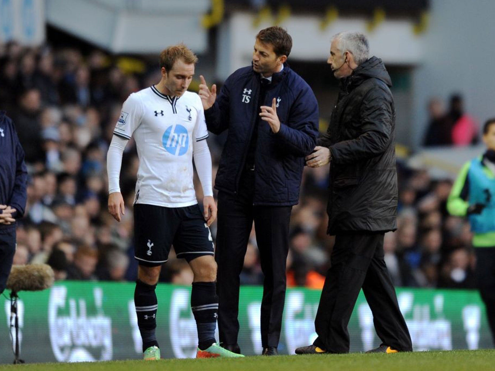 Central to his thinking: The gifted Christian Eriksen (left) could find a regular berth but Tim Sherwood must work out his best midfield combination