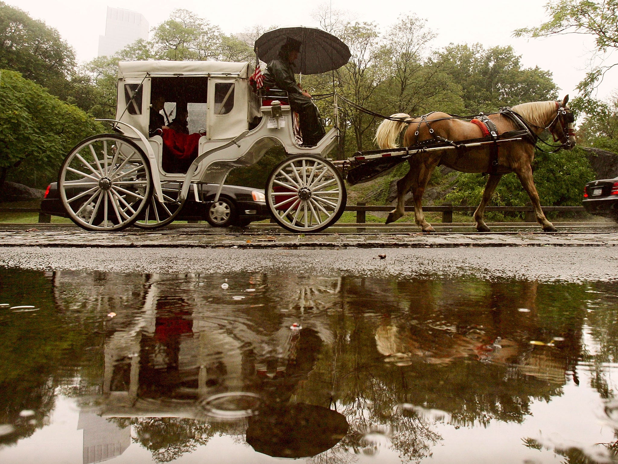 Central Park's iconic horse-drawn carriages may soon disappear from the tourist trail under a new plan