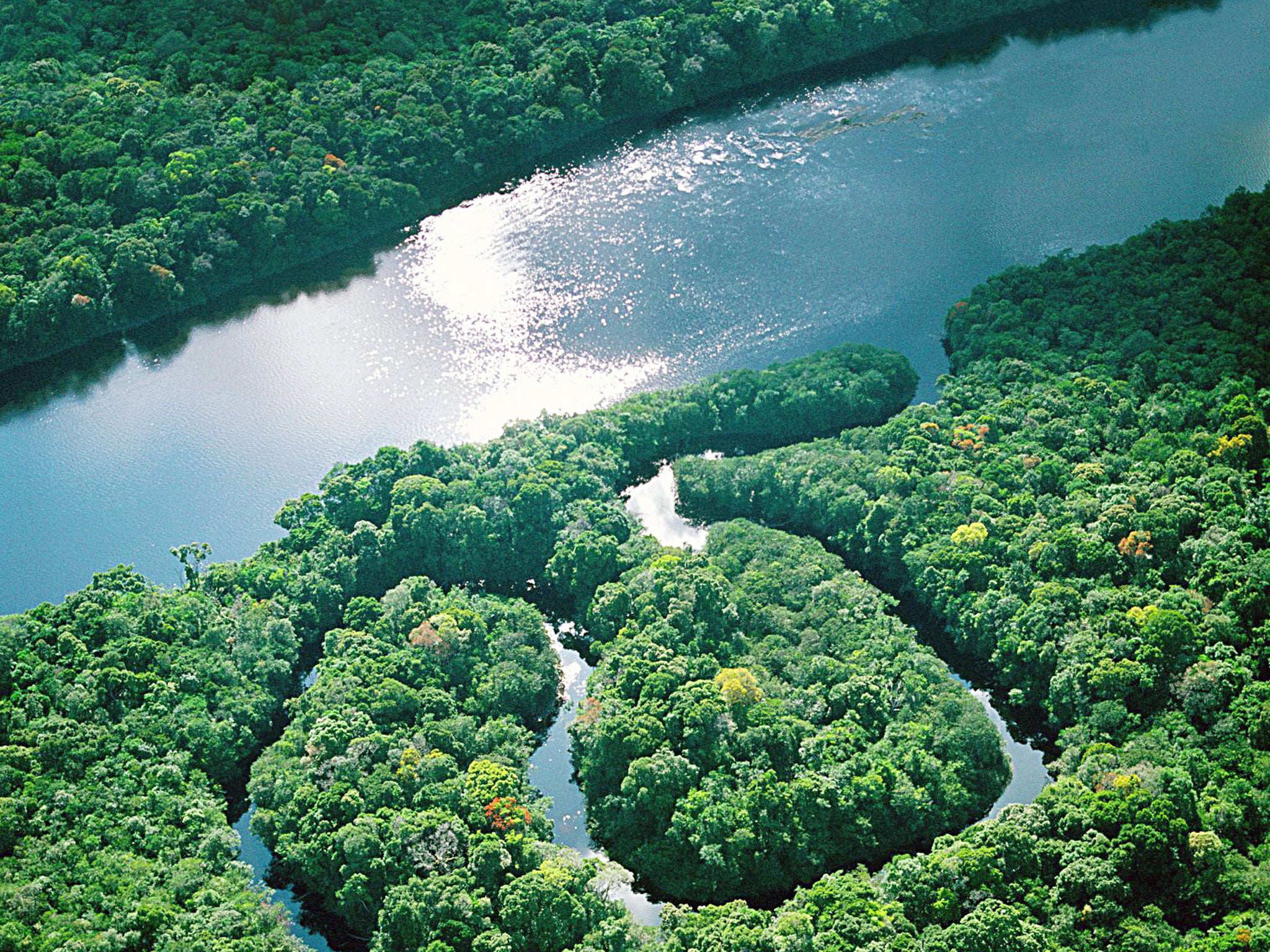 Green days: exploring the Amazon