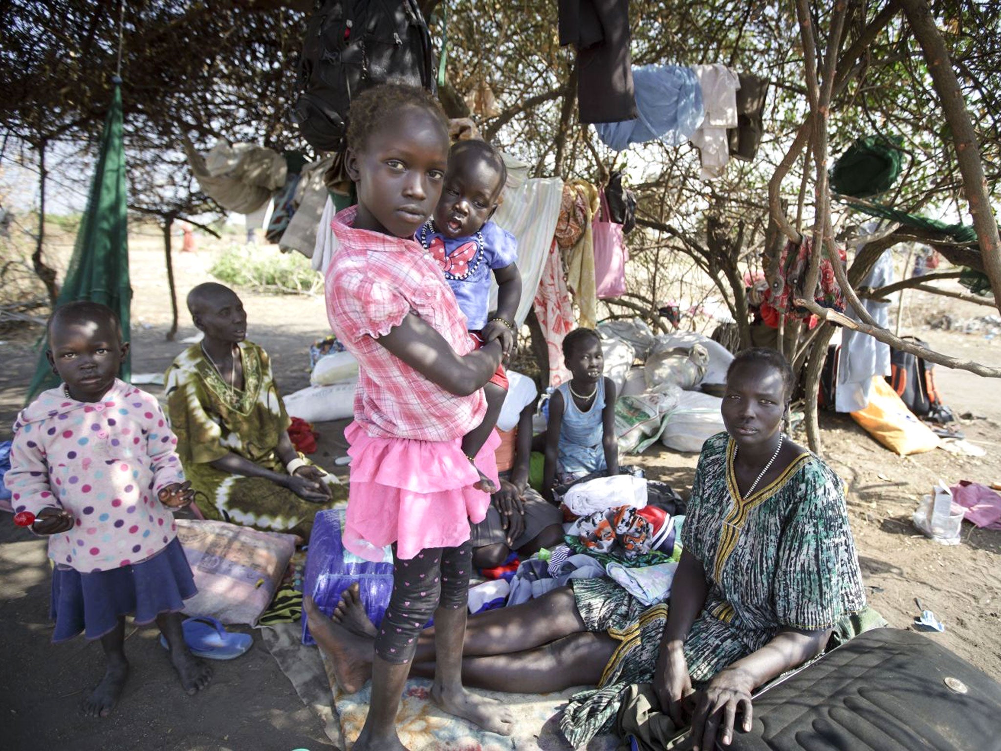 A displaced family camp under a tree providing partial shade from the midday sun