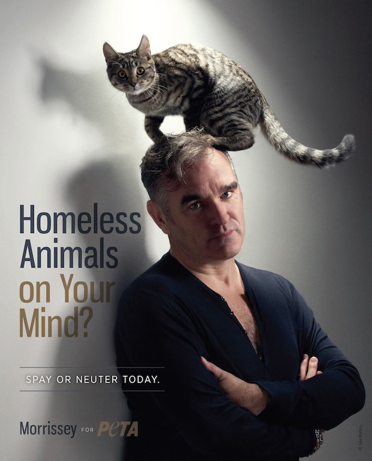 Animals on the mind: Staunch PETA supporter Morrissey casually poses with a cat on his head for one particularly literal campaign