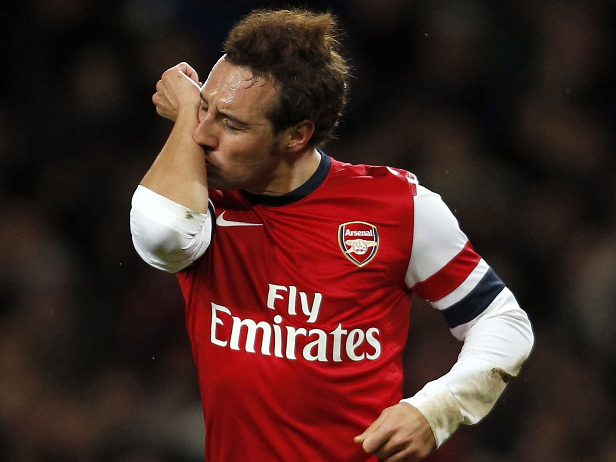 Santi Cazorla celebrates his goal for Arsenal against Tottenham in the FA Cup tie on Sunday