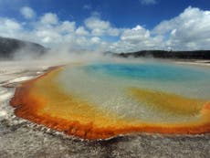 Child, 3, seriously burned after falling into Yellowstone geyser