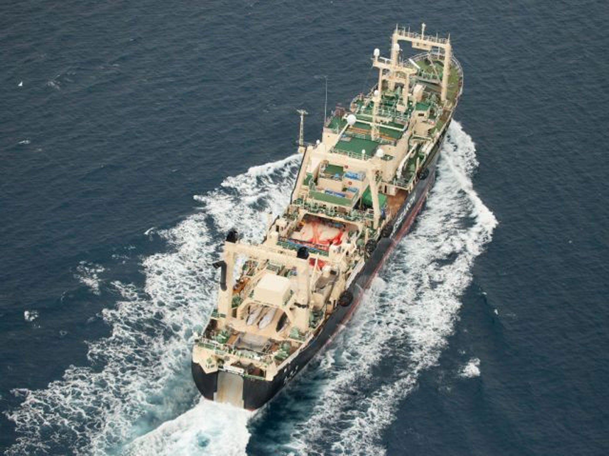 Three dead minke whales lie on the deck of the Japanese whaling vessel Nisshin Maru as it travels through the Southern Ocean