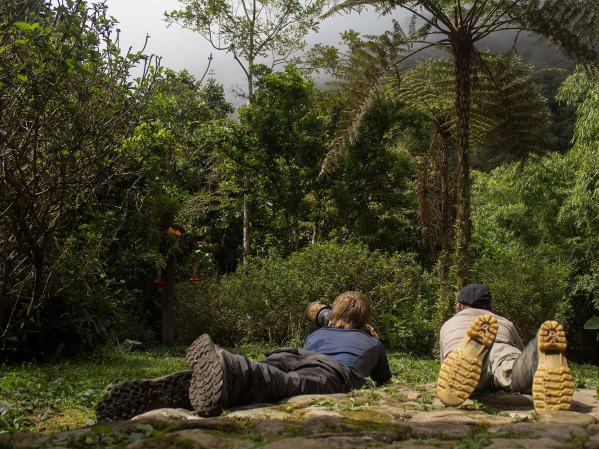 Watching the wildlife in Peru