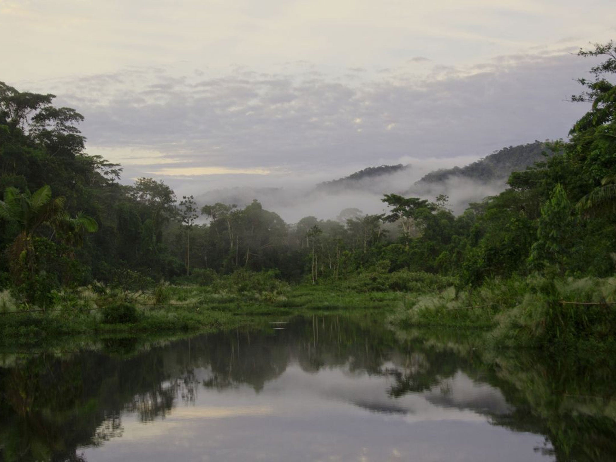 Green days: Oxbow lake at Manu