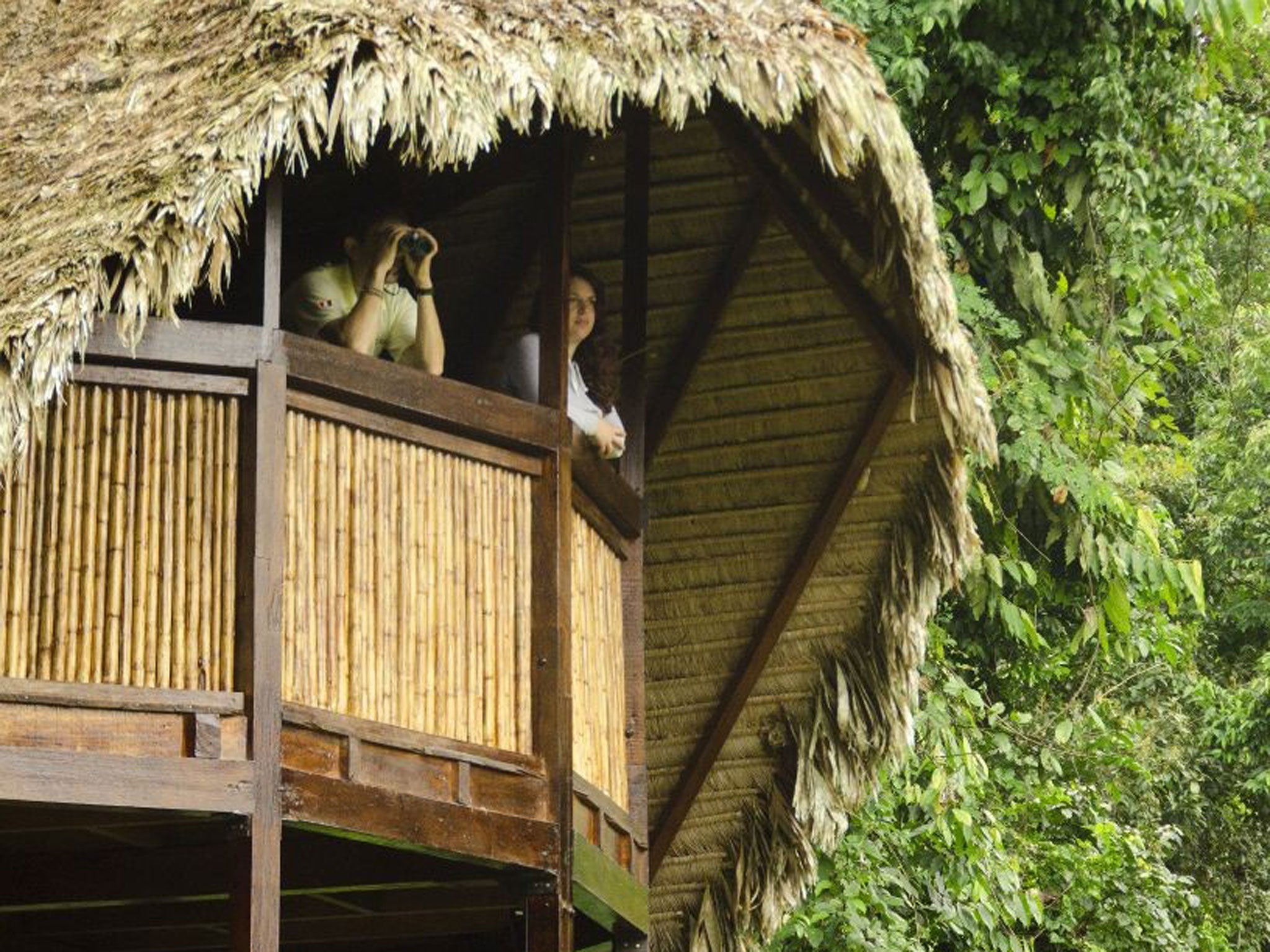 A chalet at Manu Learning Centre offers a better perspective of the surroundings