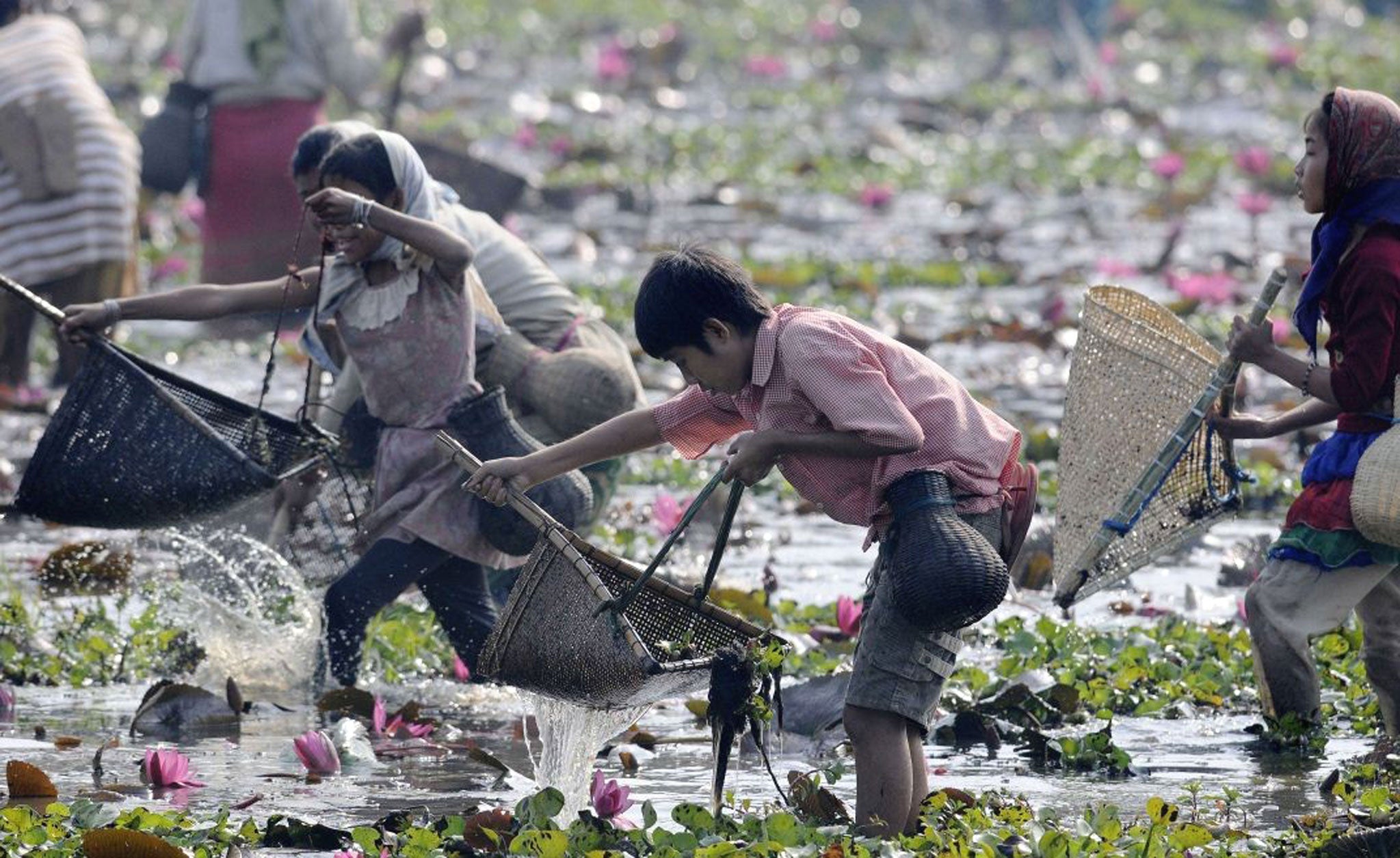 Celebrations for Bhogali Bihu or Magh Bihu, the harvest festival, have begun with community feasts and prayers