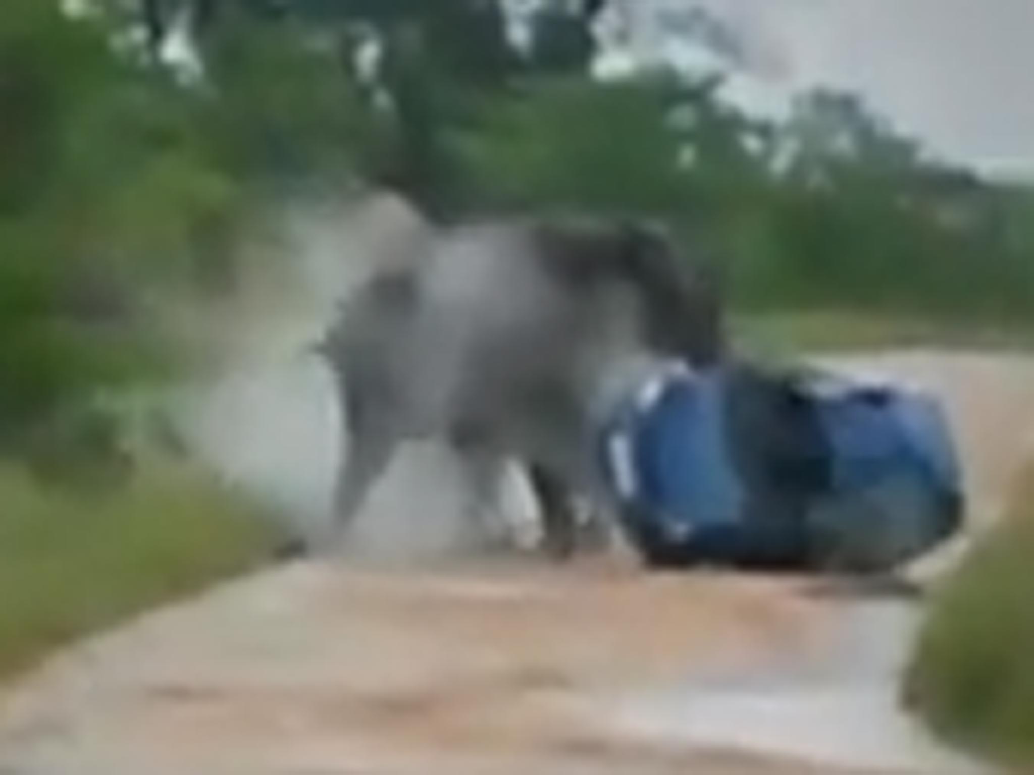 The moment the elephant overturns a car