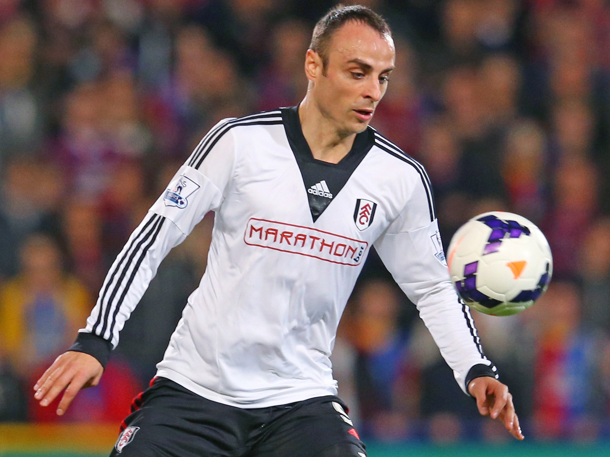 Dimitar Berbatov could be just what Arsenal need