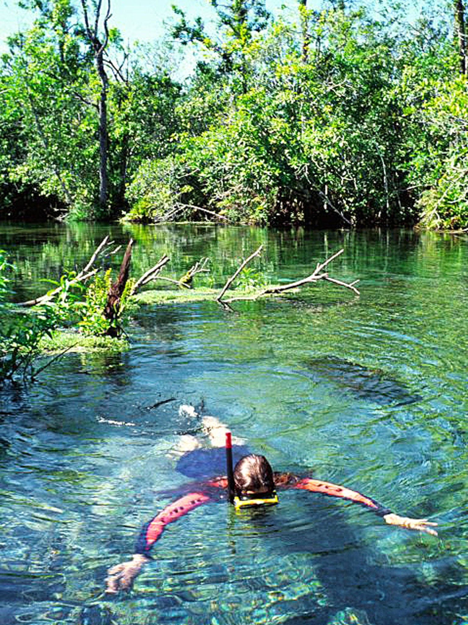 Bonito is the capital of flutação, and there are countless opportunities to indulge in it nearby