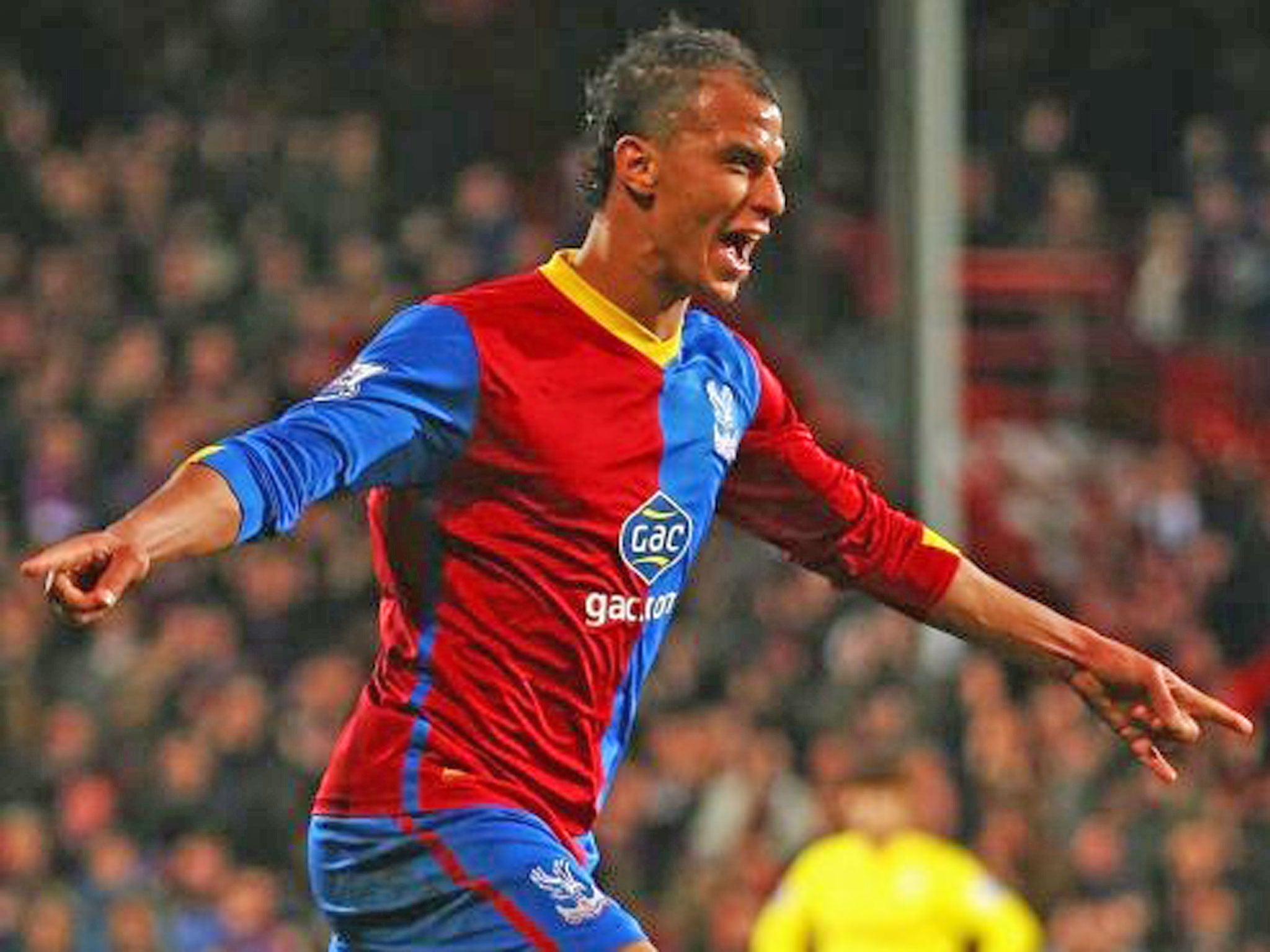 Marrouane Chamakh celebrates scoring for Crystal Palace