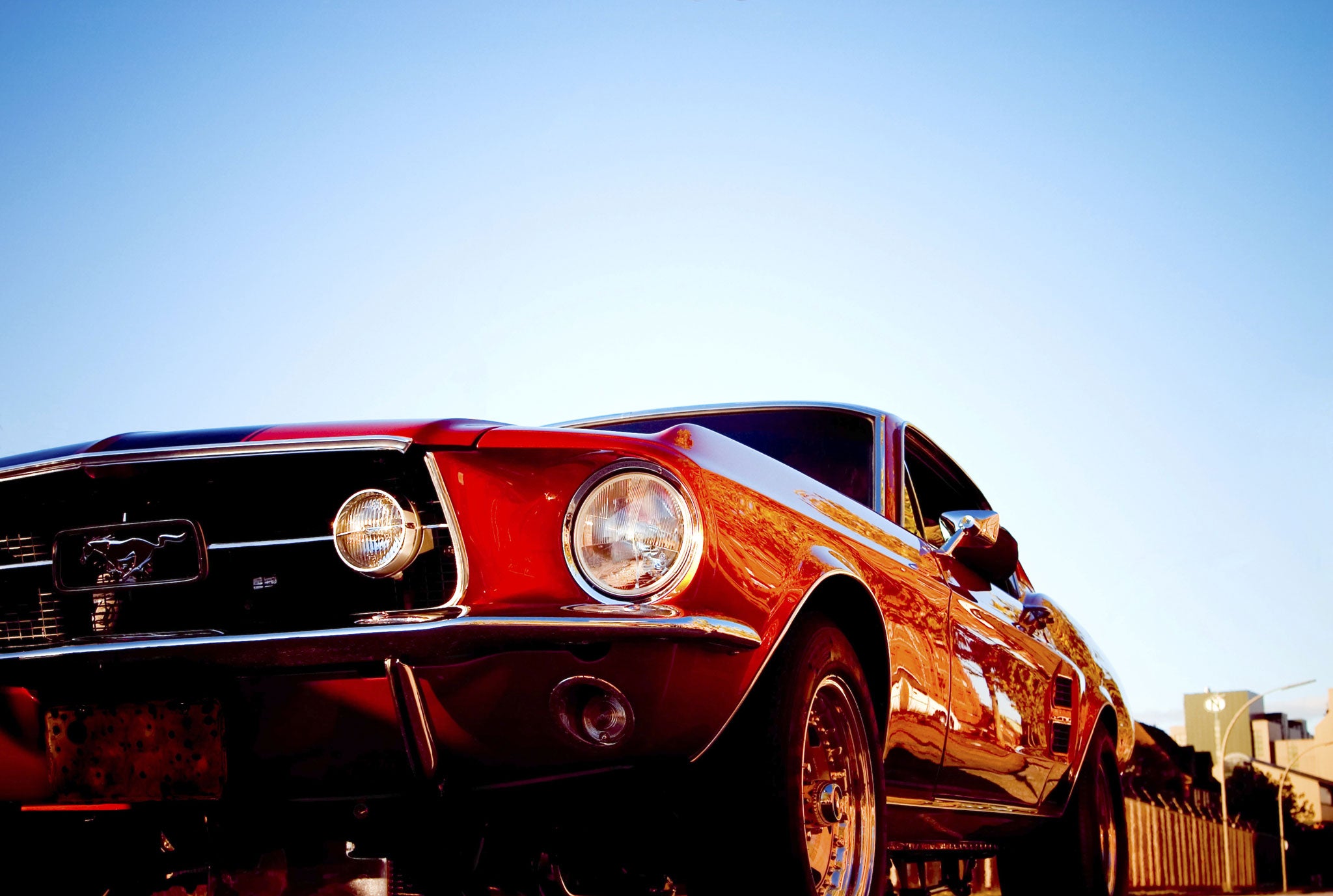 Thoroughbred: The Mustang is an American icon