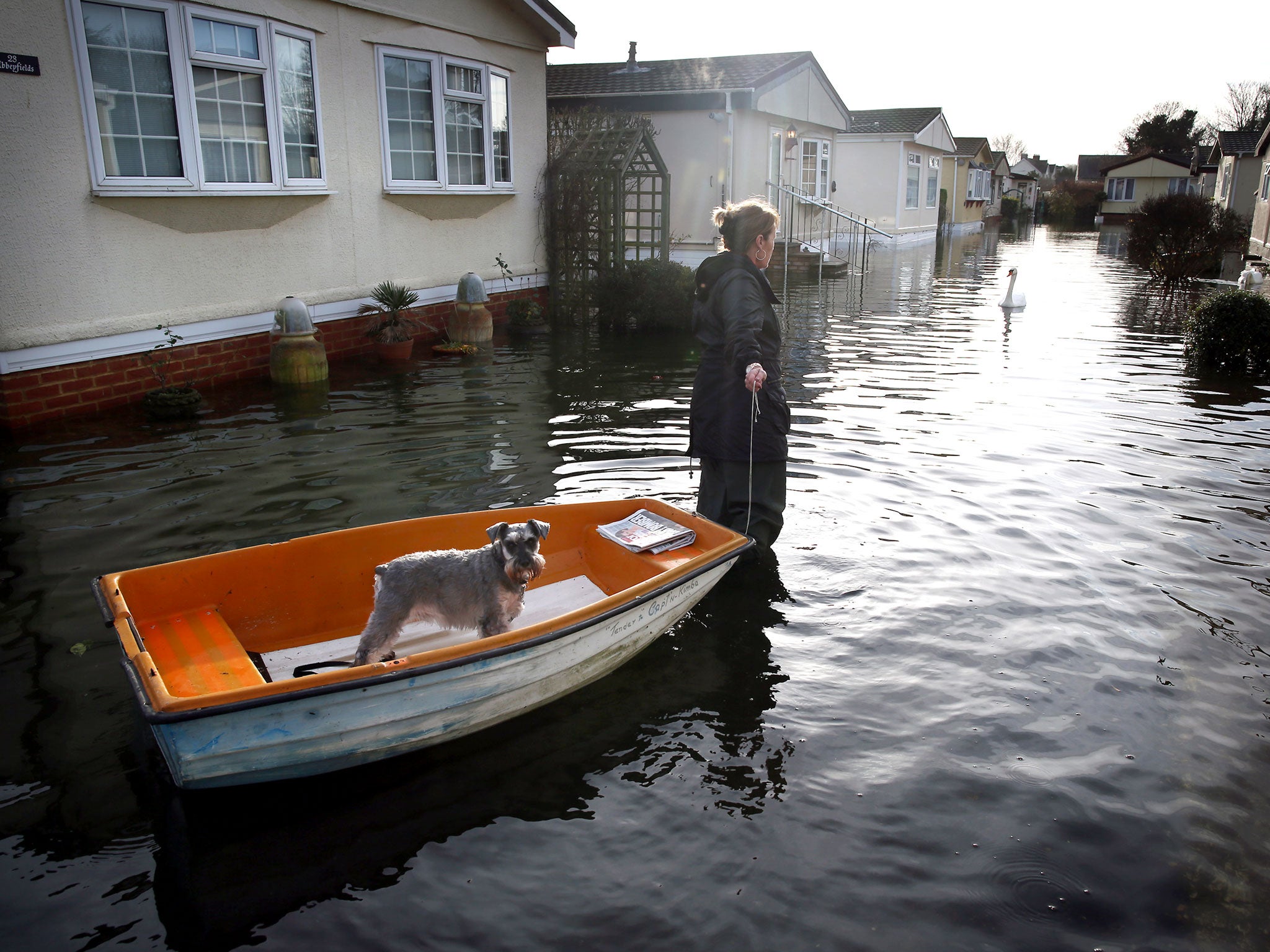 A woman pulls her dog in a boat at the Abbey Fields caravan park after the River Thames flooded on 8 January 8.