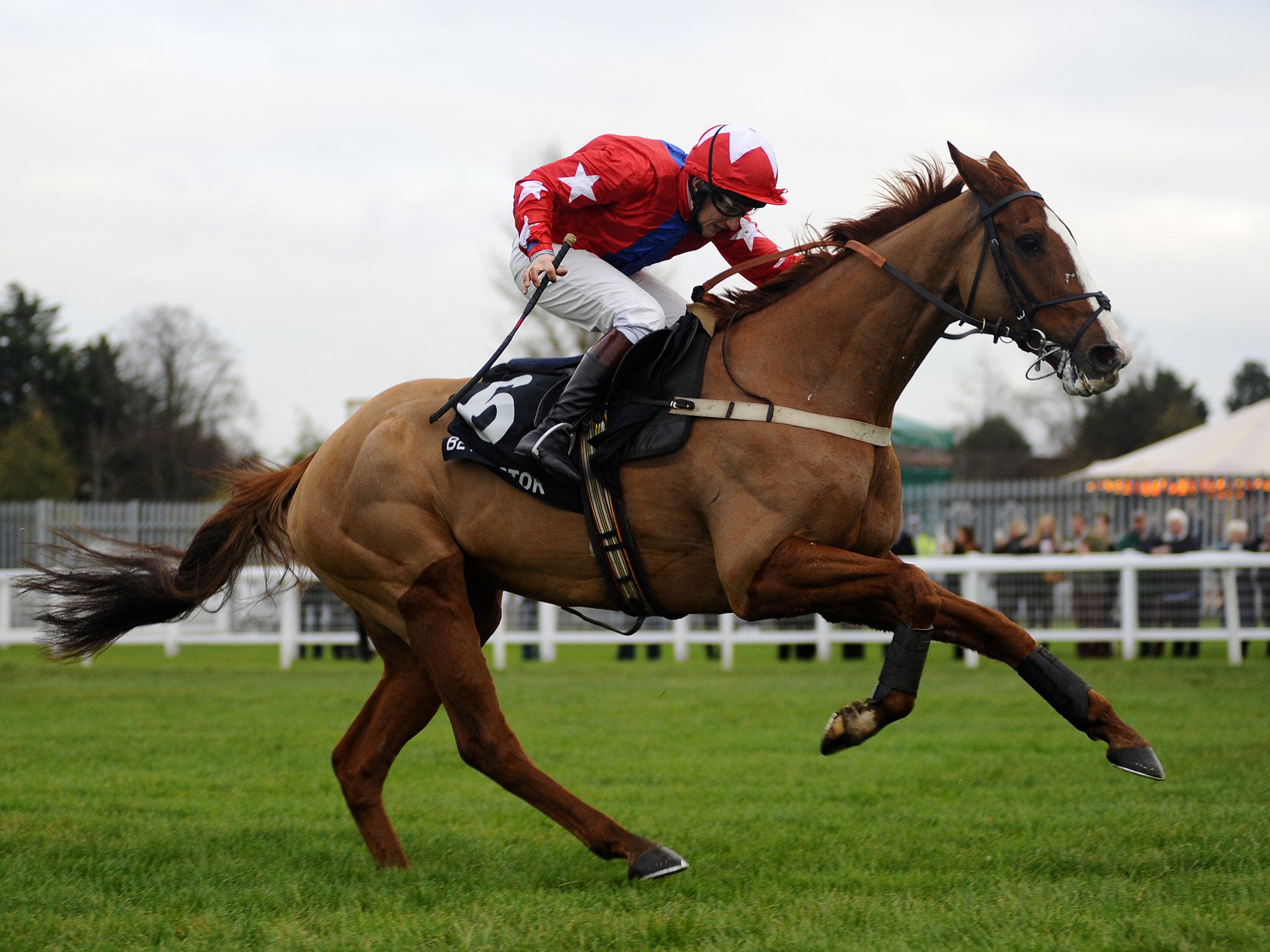 Sire De Grugy's star is rising: five wins from his last six starts