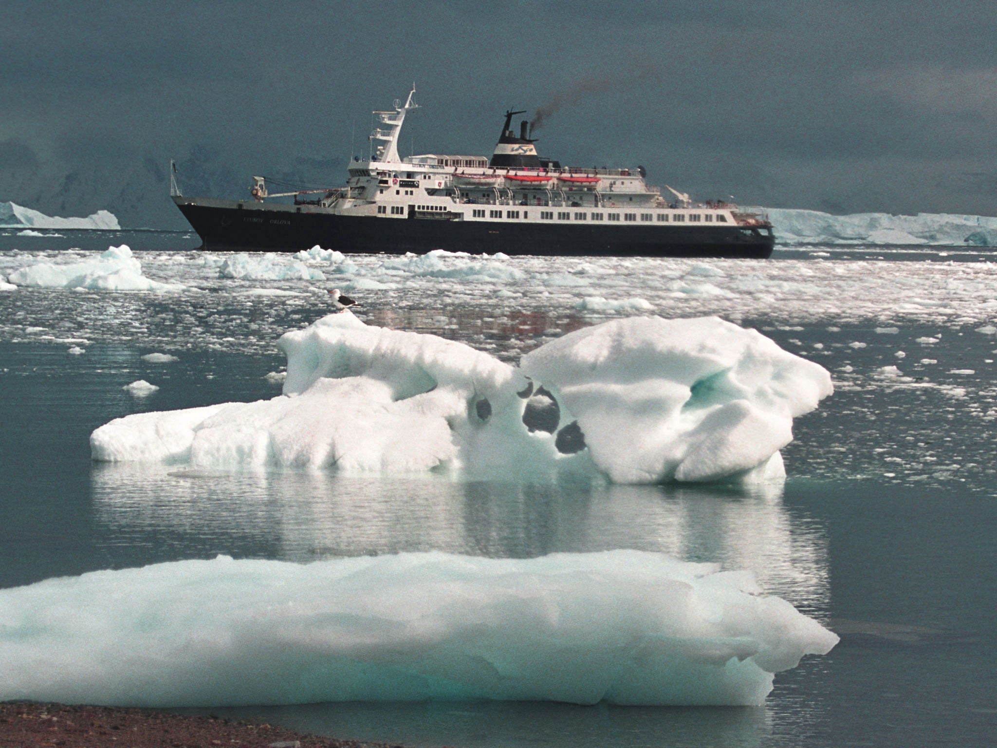 The cruise liner Lyubov Orlova, shown here among ice in Antarctica, has been drifting without a crew in the north Atlantic for the past year