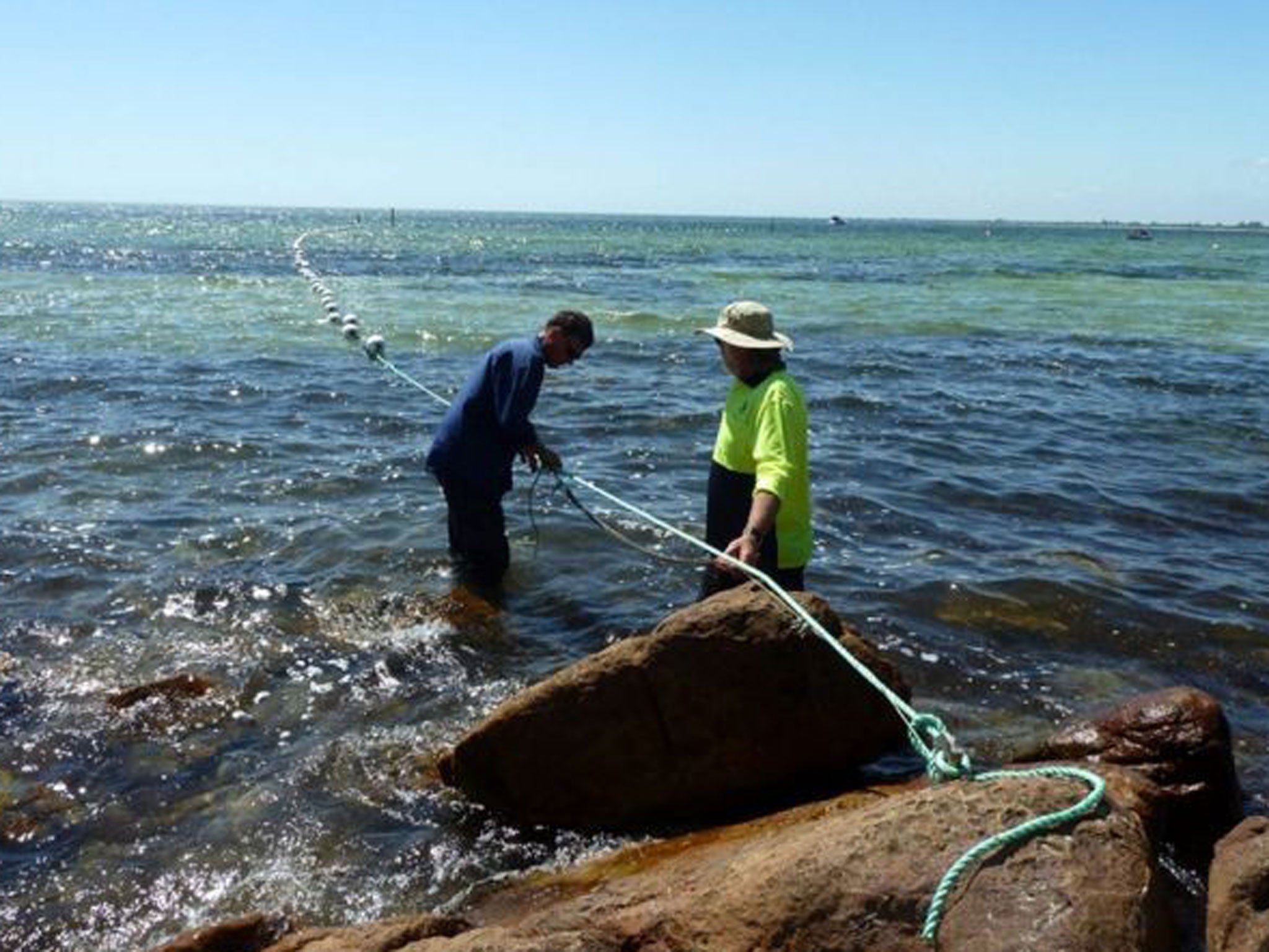 The shark barrier at Dunsborough beach in Perth, Western Australia, Australia as it is constructed on 25 January