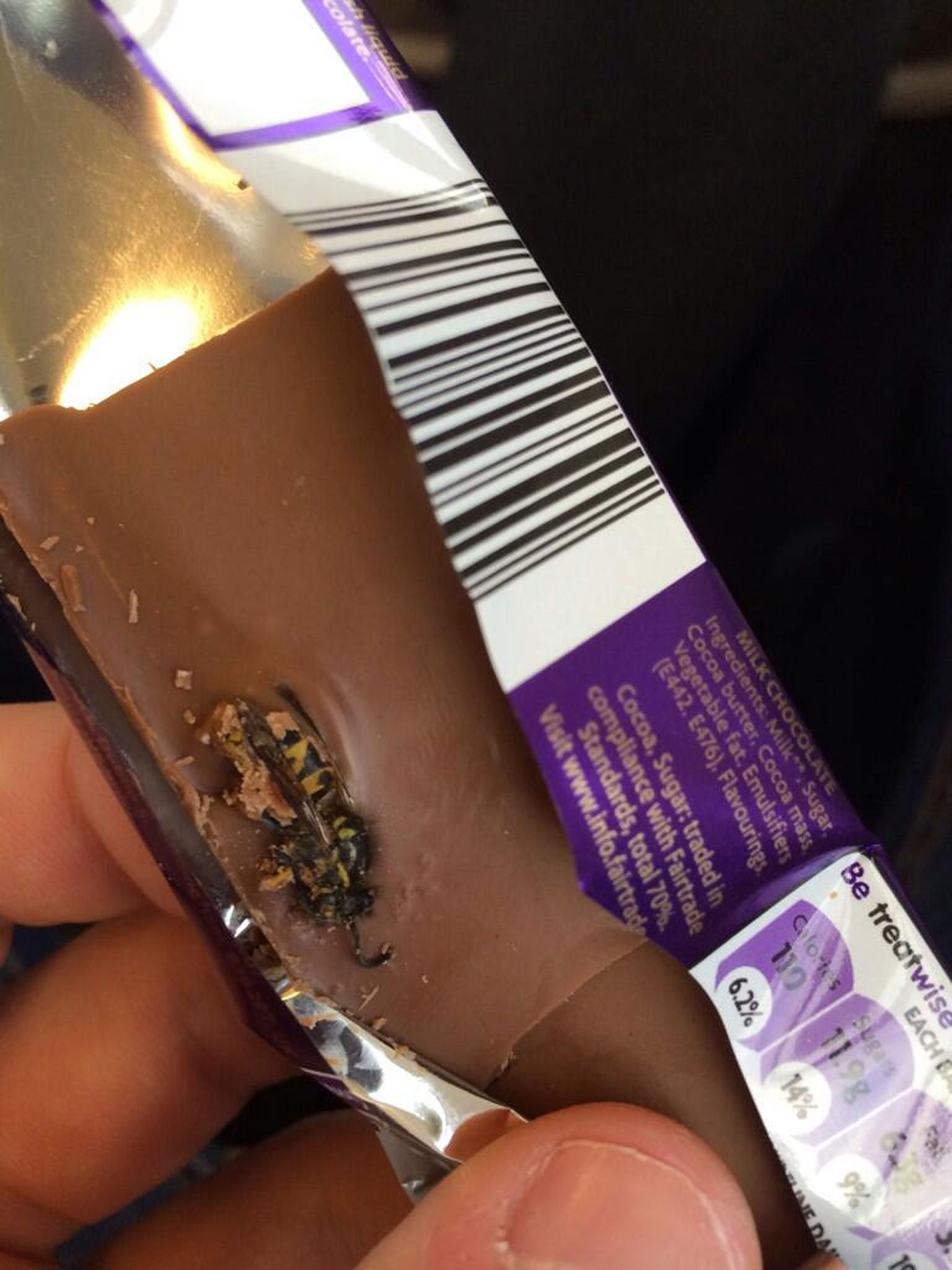 A wasp found in bar of Cadbury chocolate