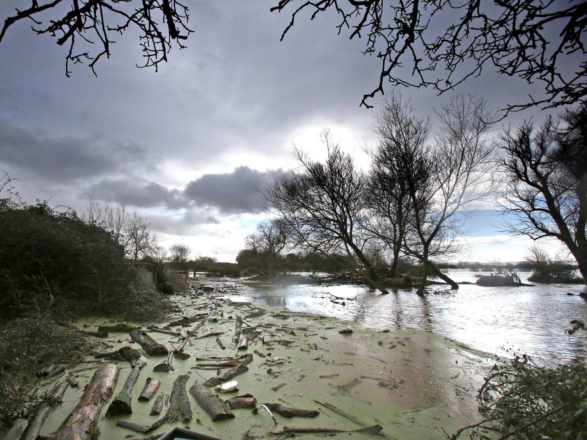 Debris washed up by flood water in Moorland, where 40 square miles of the Somerset Levels remain underwater