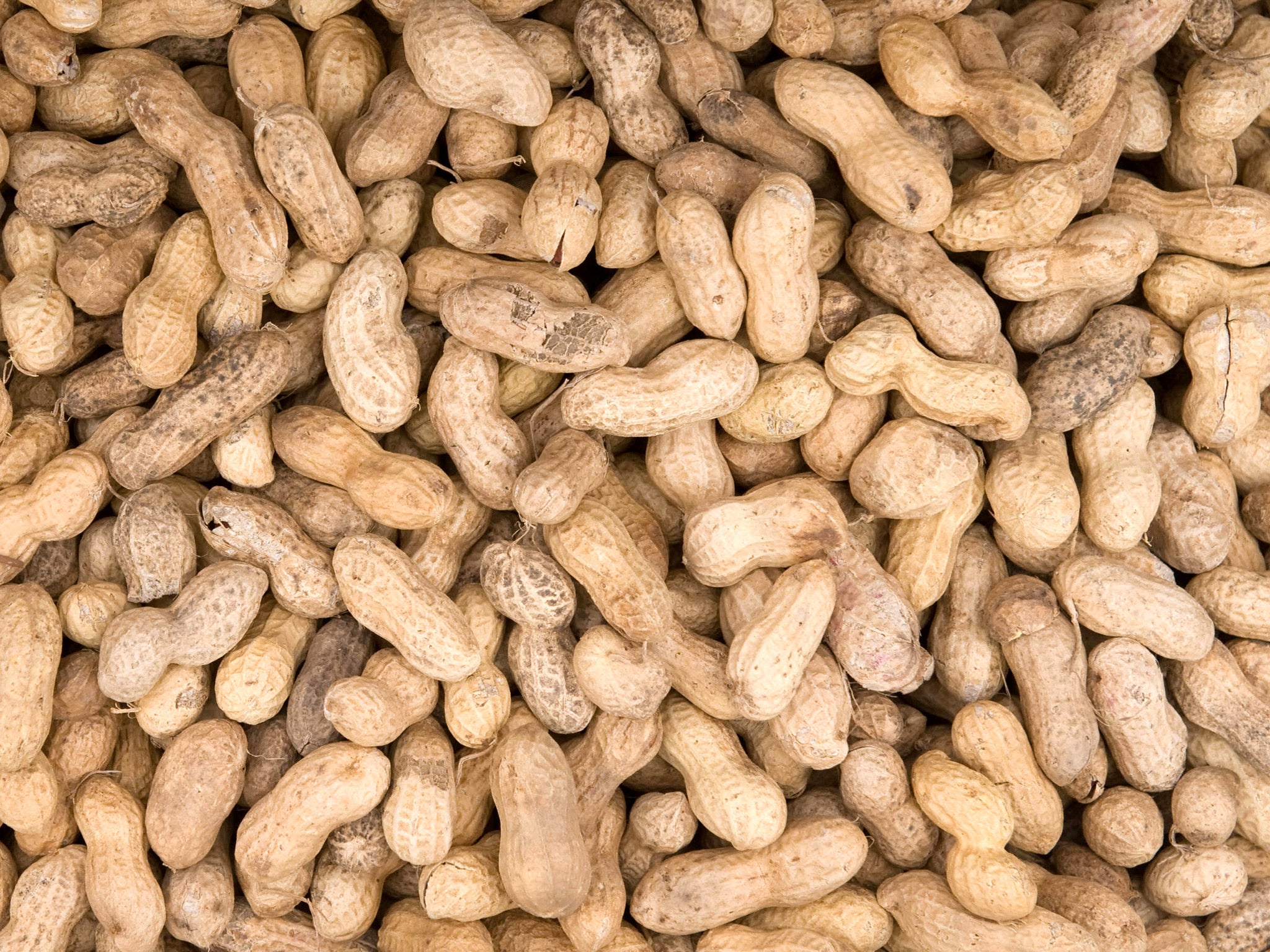 Peanut allergy affects around half a million people in the UK