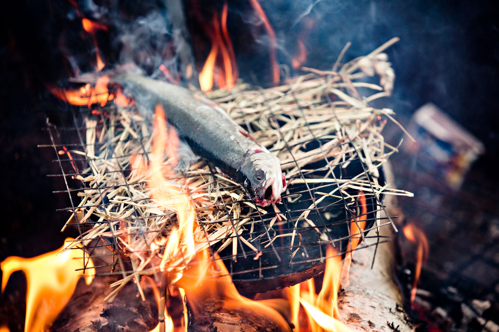 The trout is cooked first in a cast-iron pan, over the fire, then placed over some smouldering hay