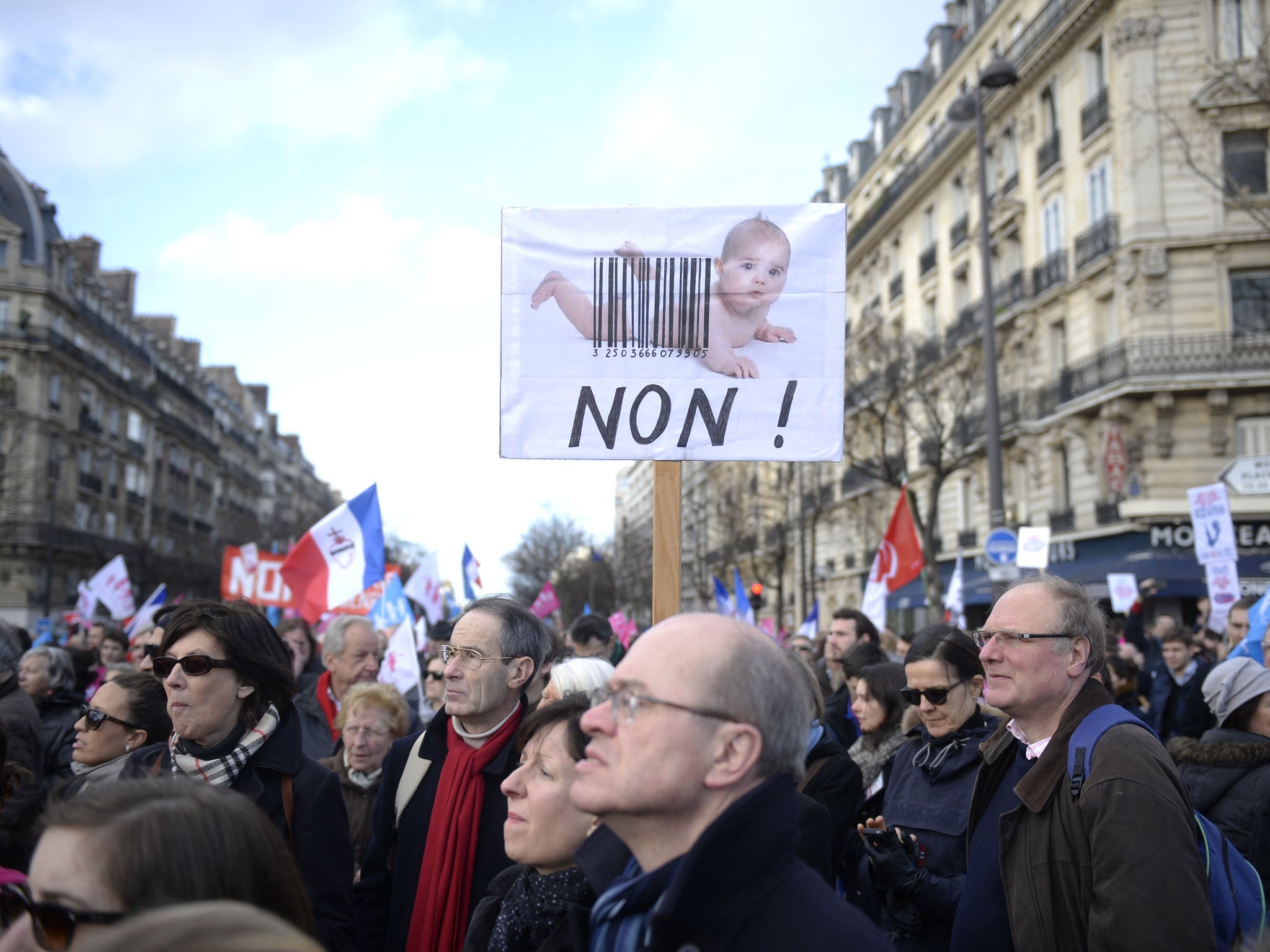 Protesters at the rally oppose the fertilisation help that is being offered to lesbians