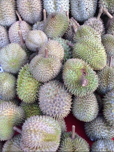 The world's smelliest variety of durian fruit - the musang king - is set to be sold in the UK for the first time